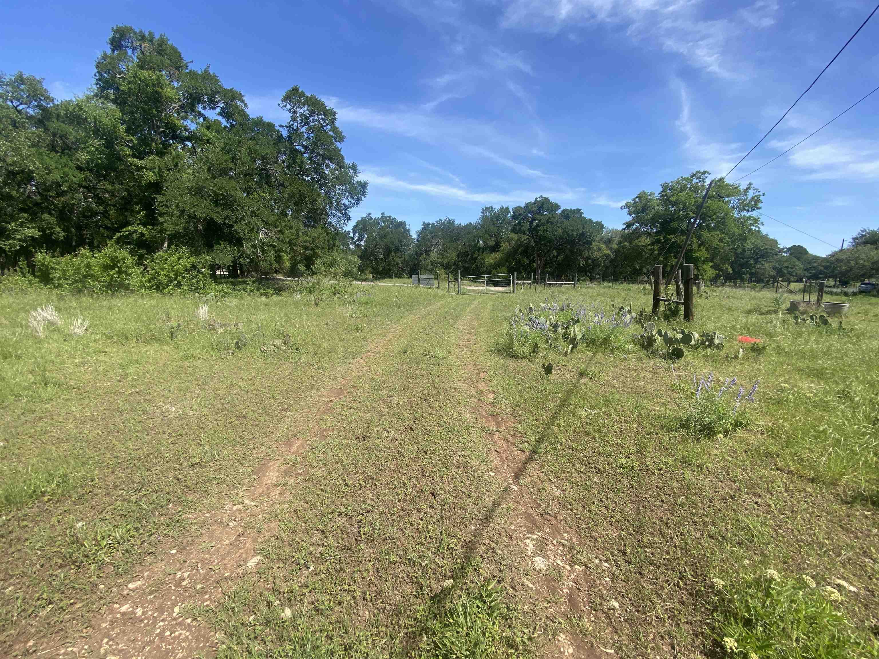 3215 County Road 305