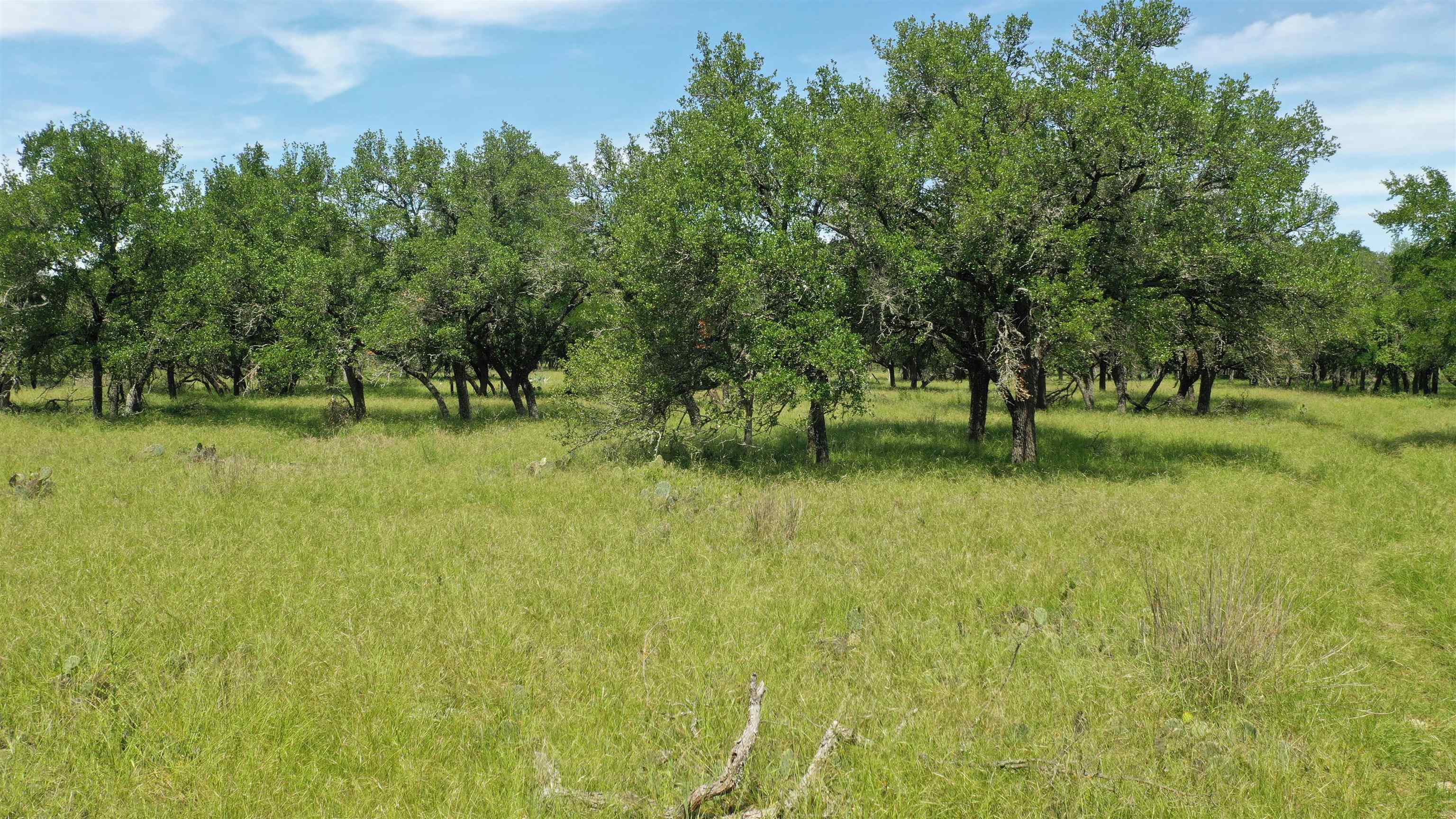 3215 County Road 305