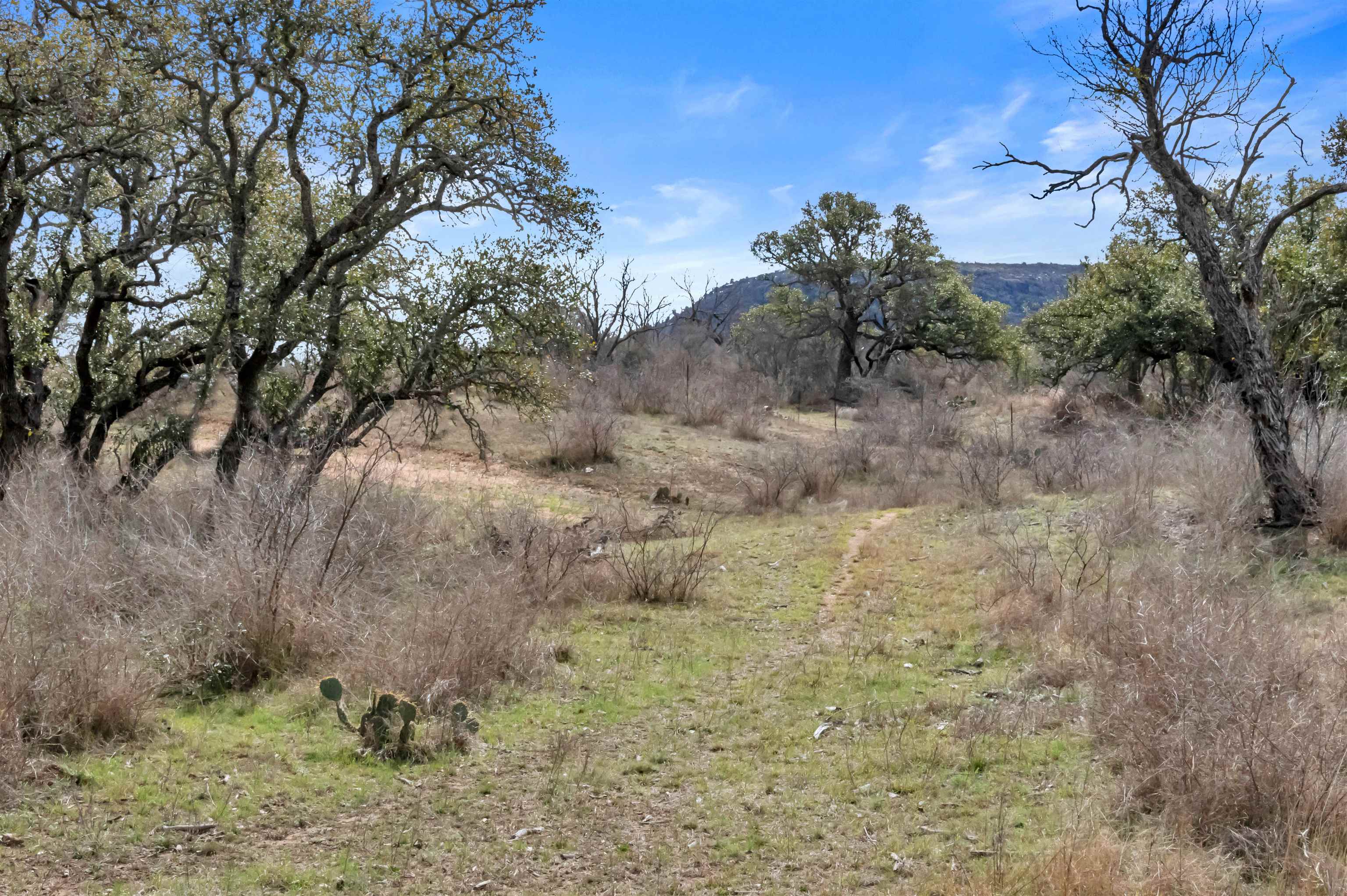 TBD Hickory Creek Ranch Road
