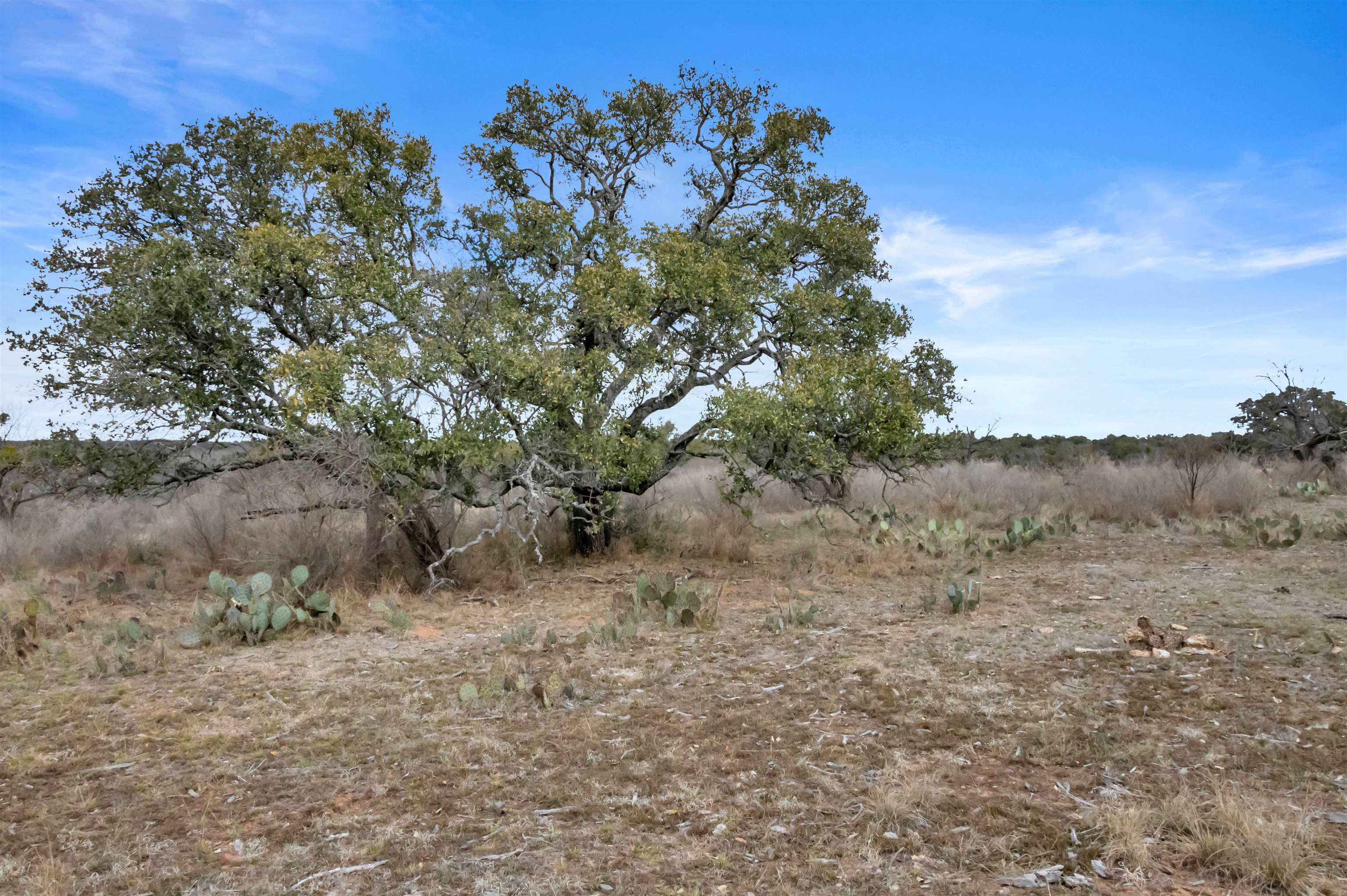 TBD Hickory Creek Ranch Road
