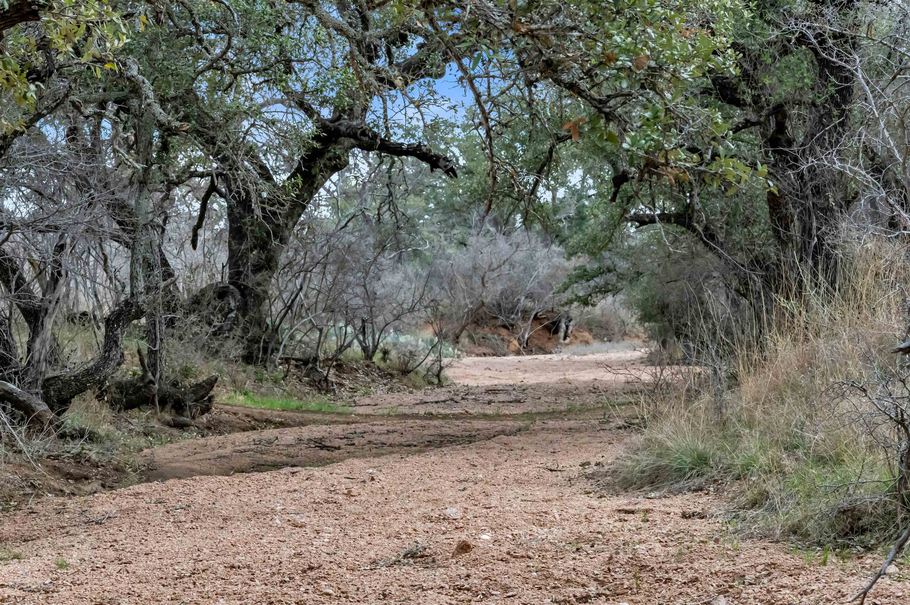 TBD Hickory Creek Ranch Road