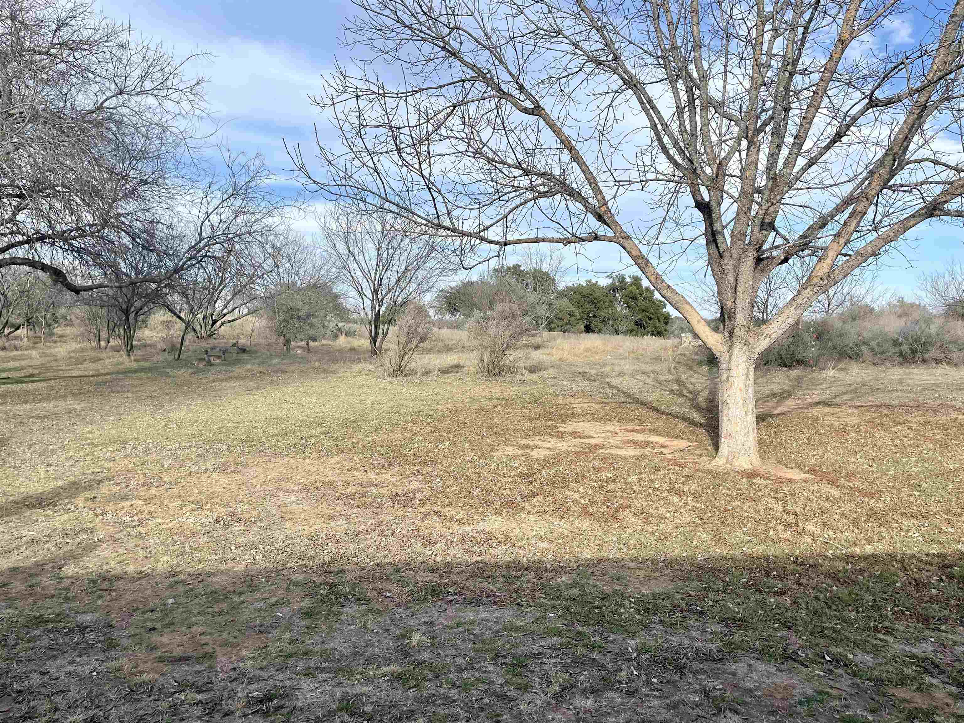 210 Skyline Drive