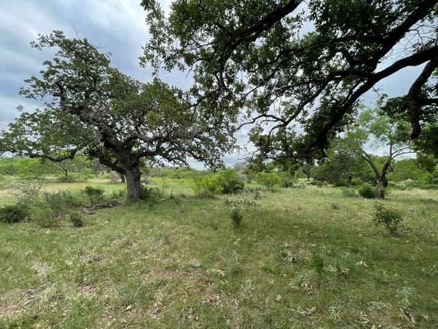 TBD Lot 130 Rocky Hollow Ranch Street