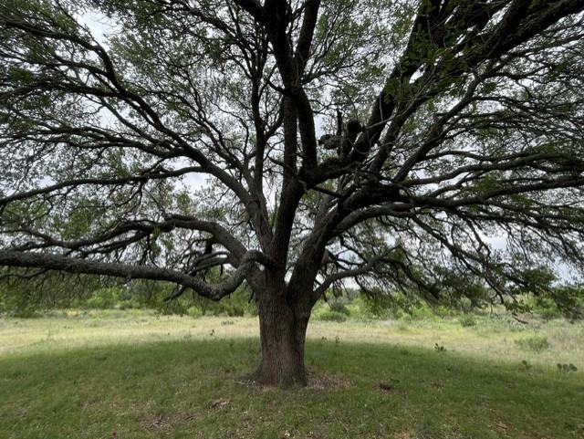 TBD Lot 130 Rocky Hollow Ranch Street