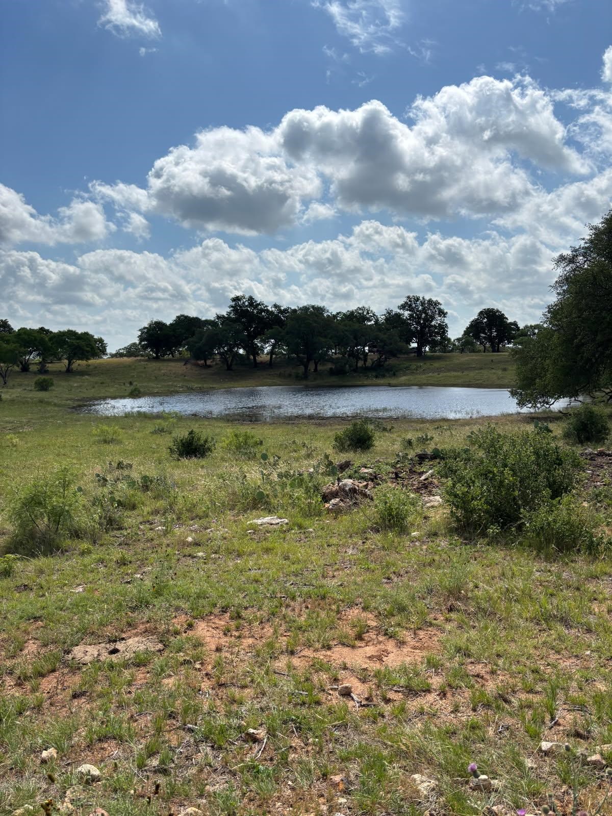 TBD Lot 130 Rocky Hollow Ranch Street