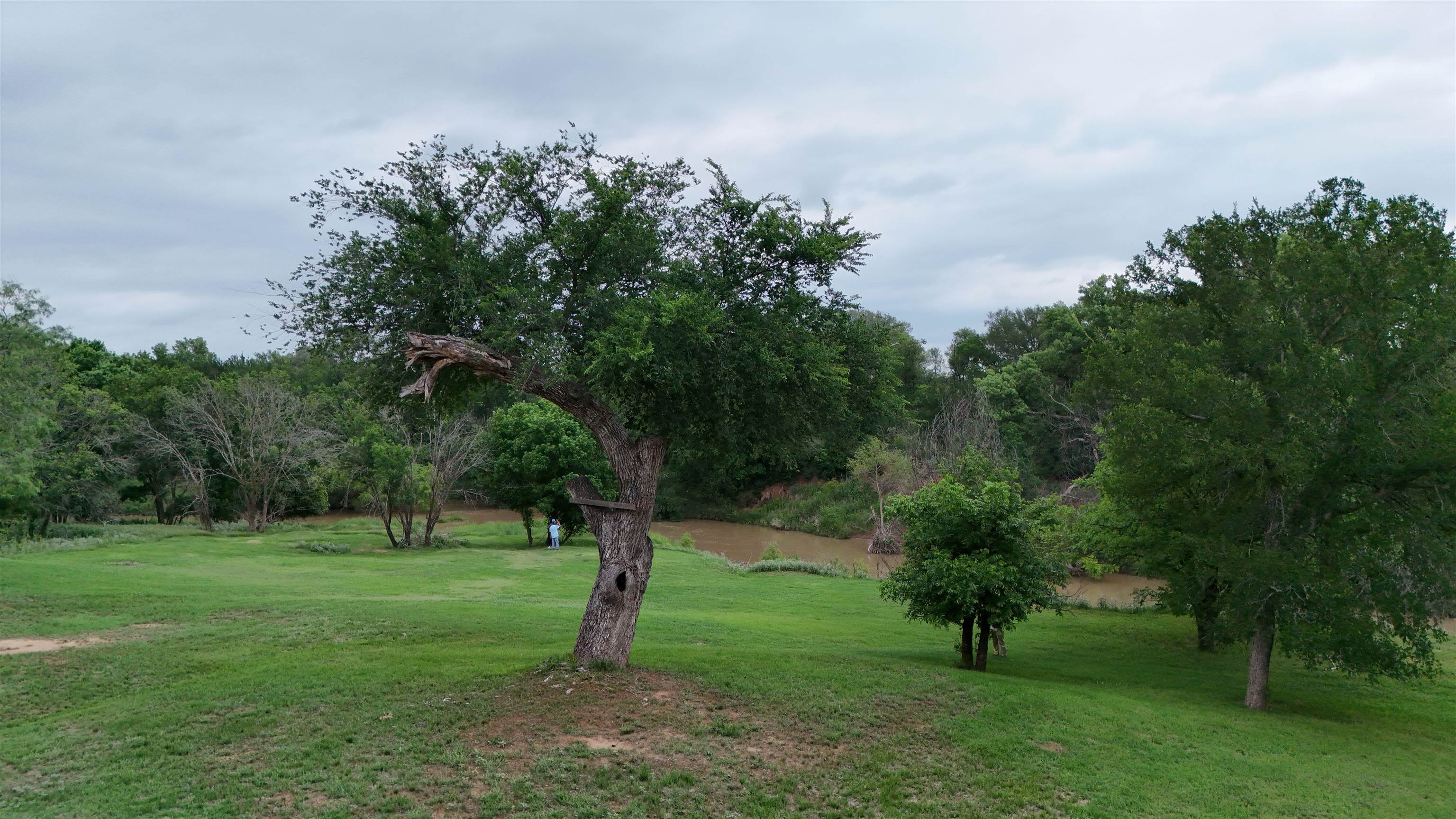 991 PRIVATE RD 125 HORSESHOE BEND ESTATES