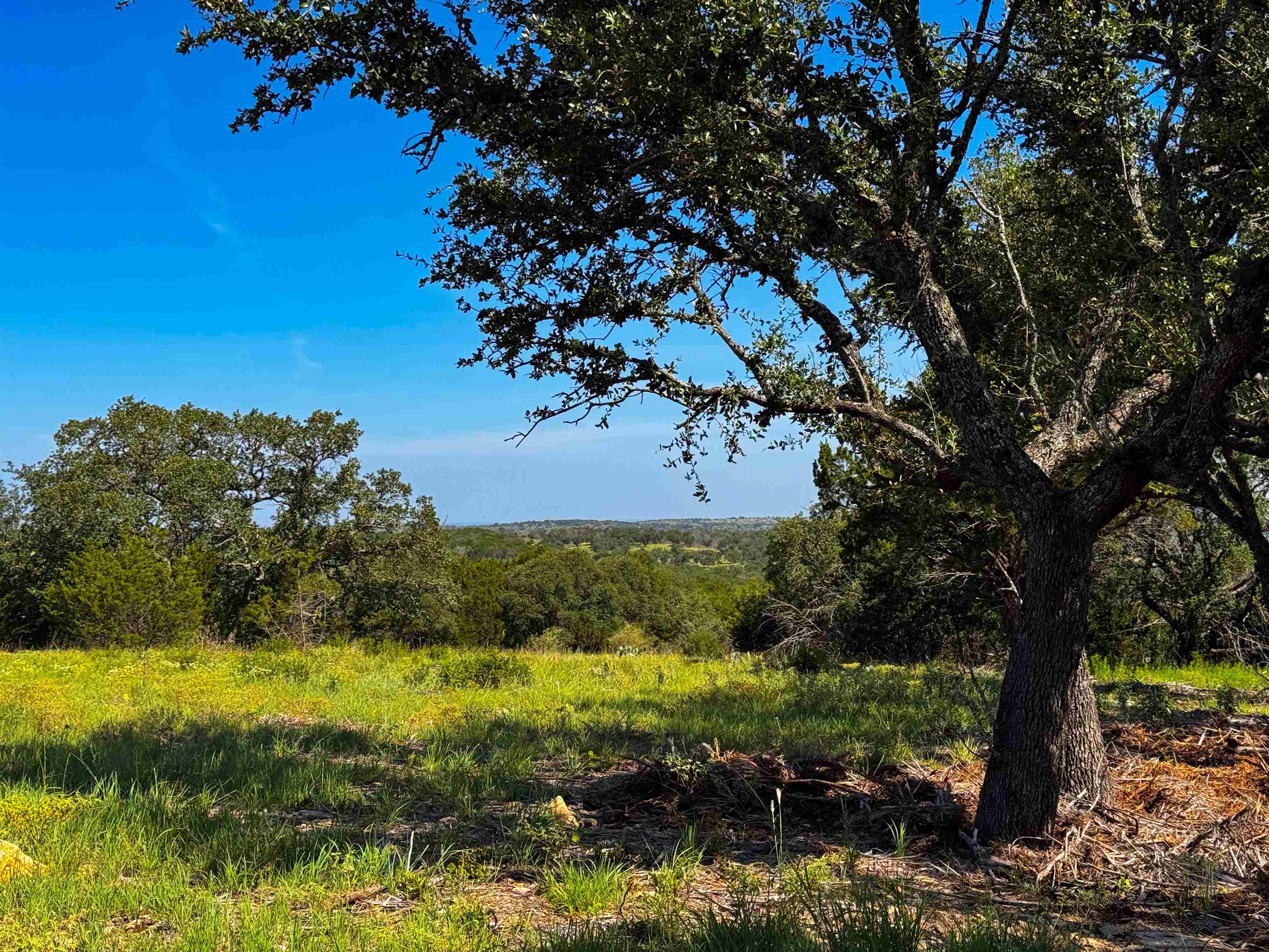 Lot 54 County Road 367
