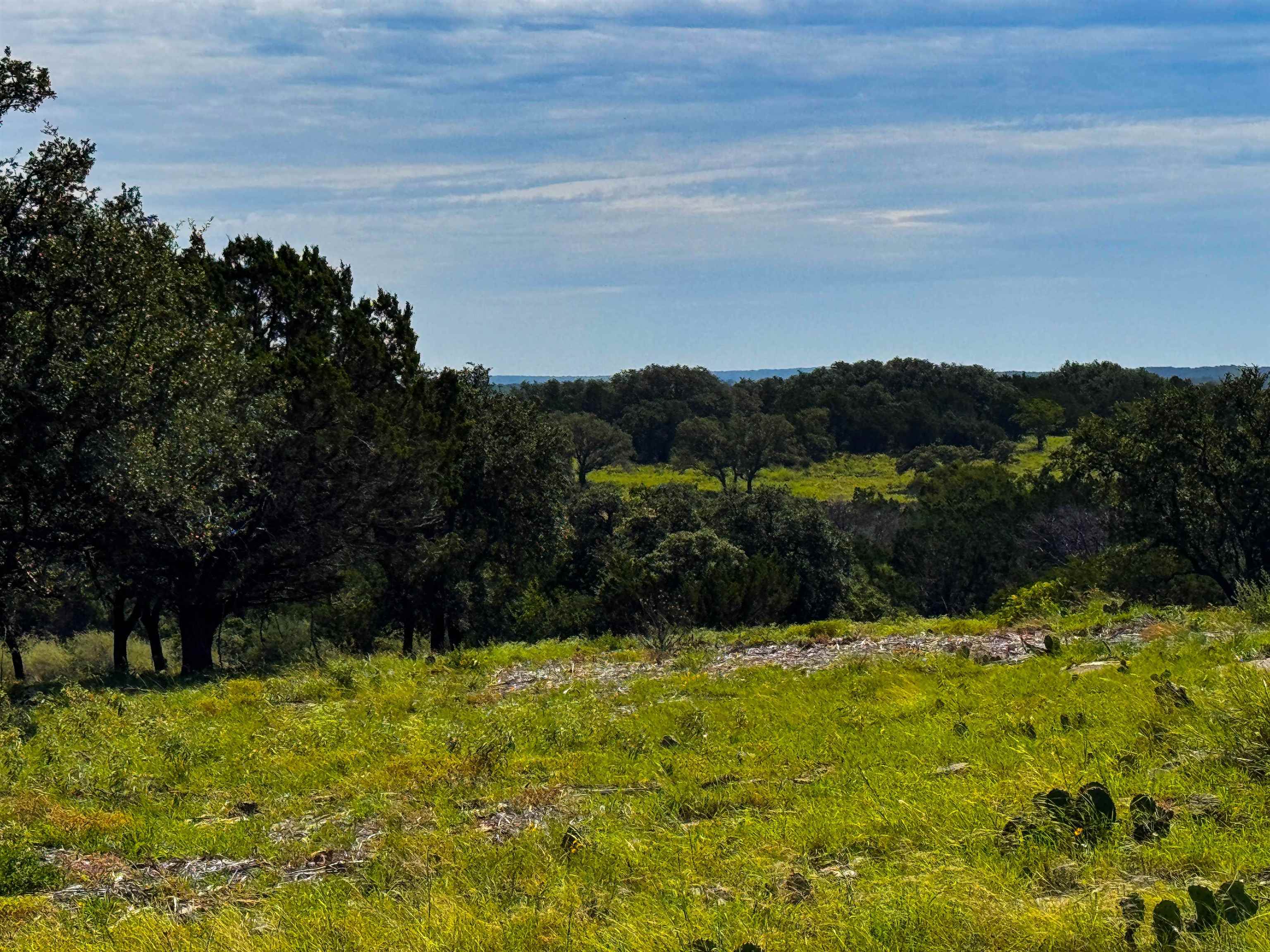 Lot 54 County Road 367