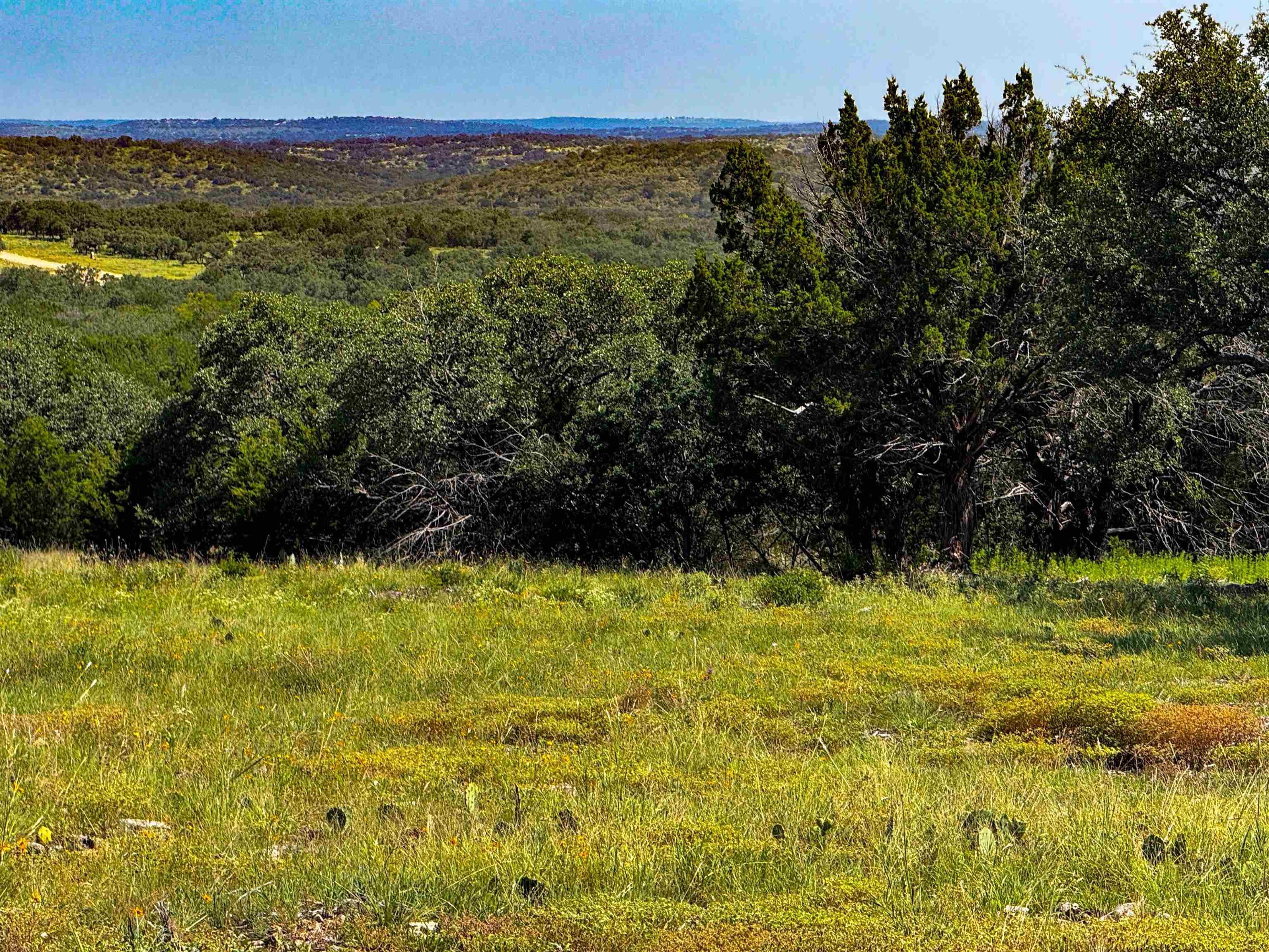 Lot 54 County Road 367