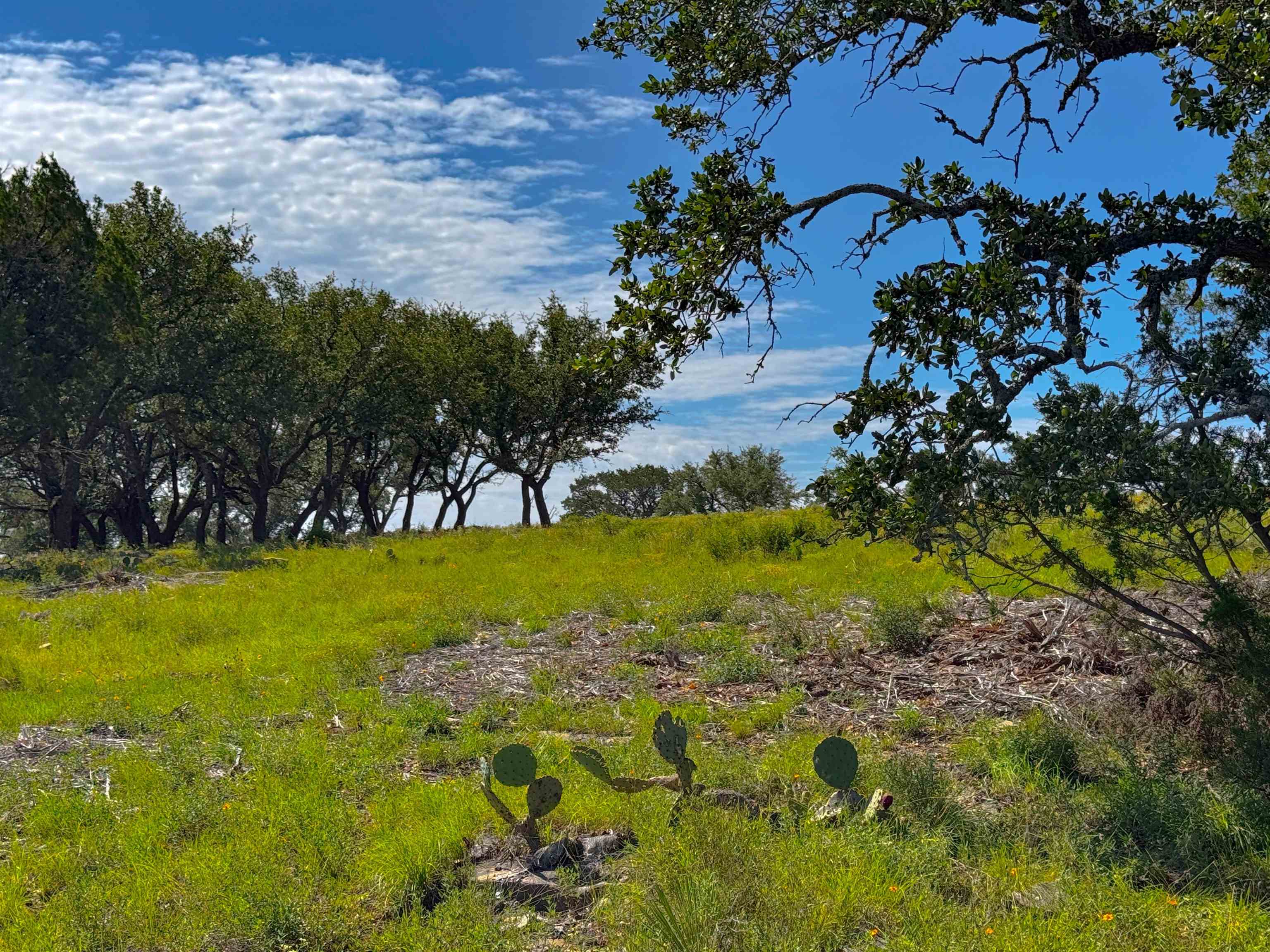 Lot 54 County Road 367
