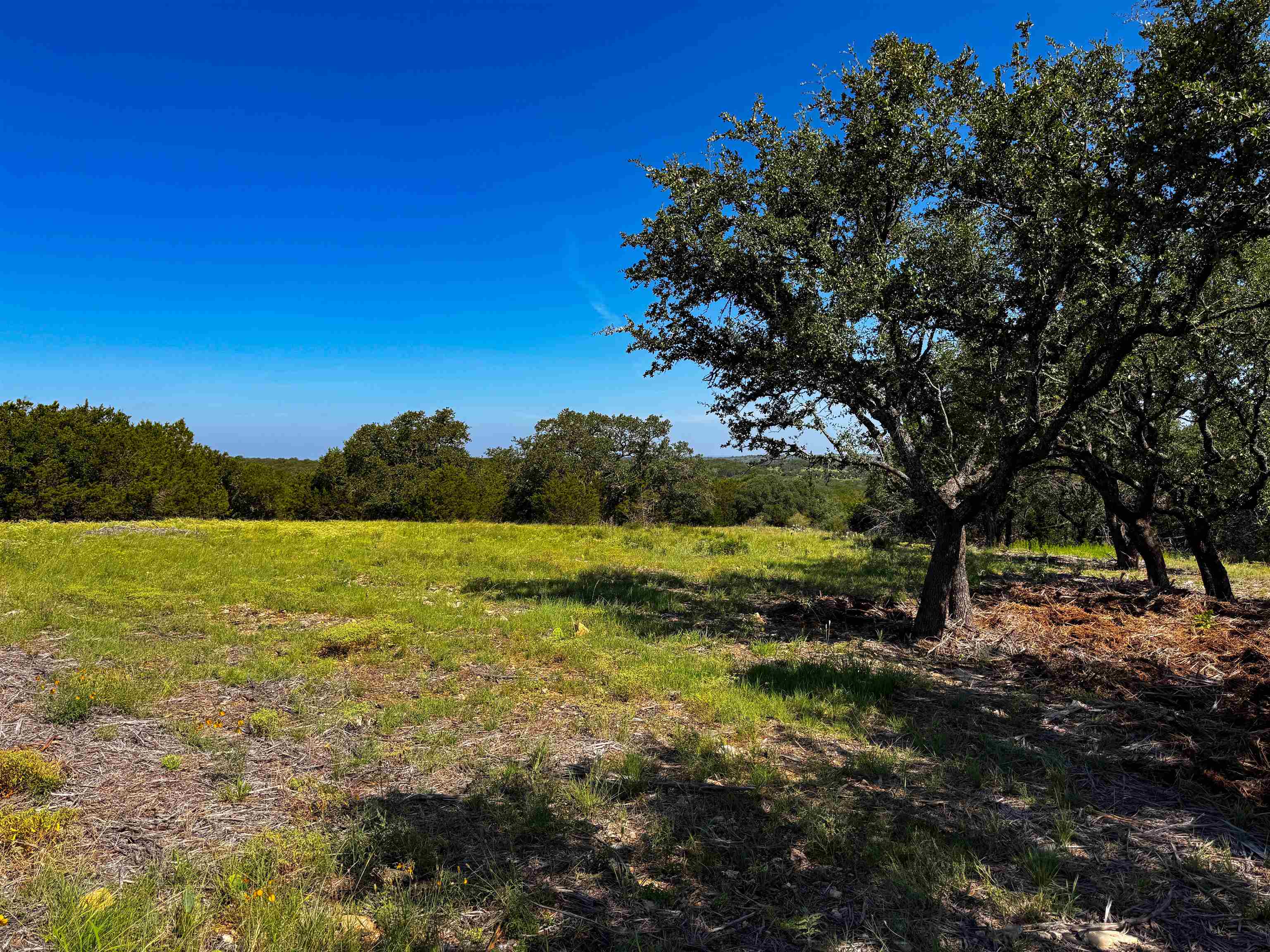 Lot 54 County Road 367