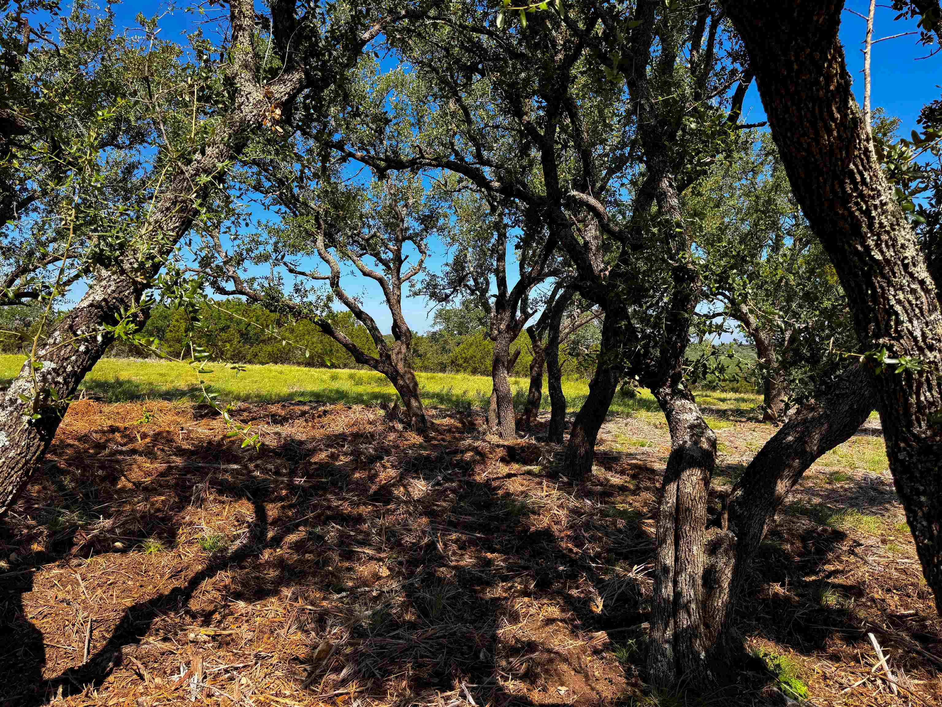 Lot 54 County Road 367