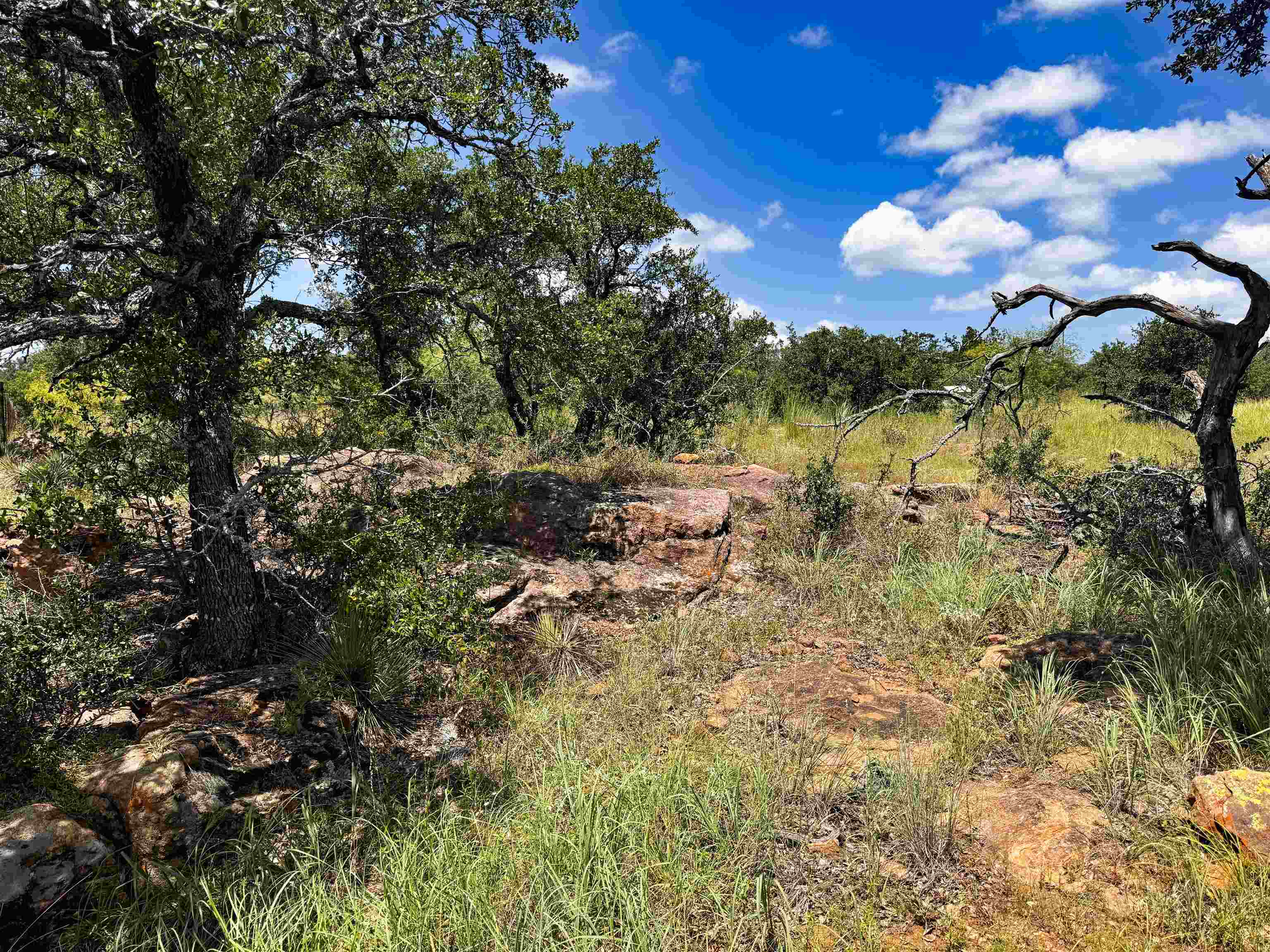 384 Wild Oak Drive