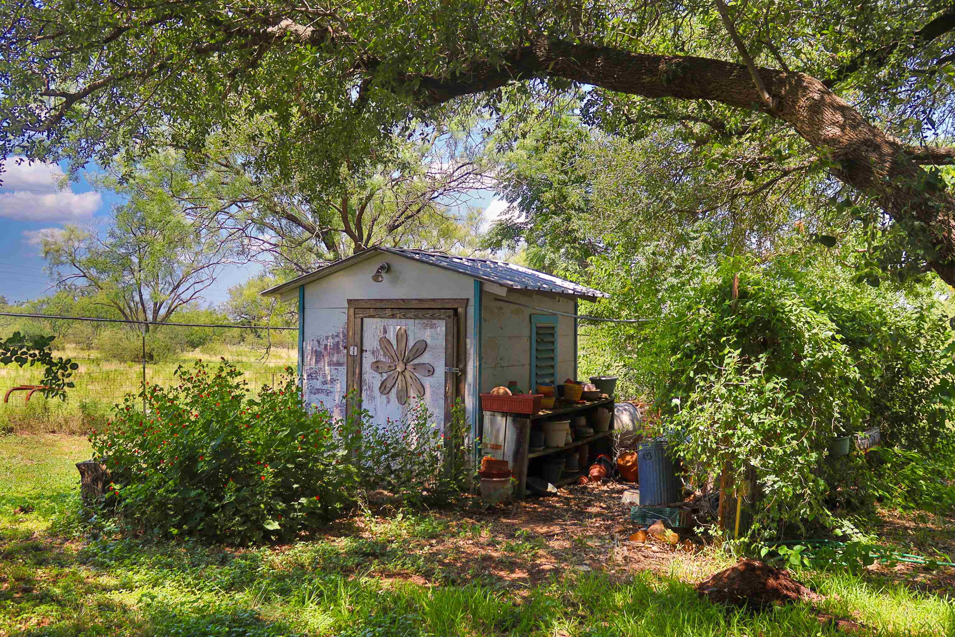 323 County Road 303