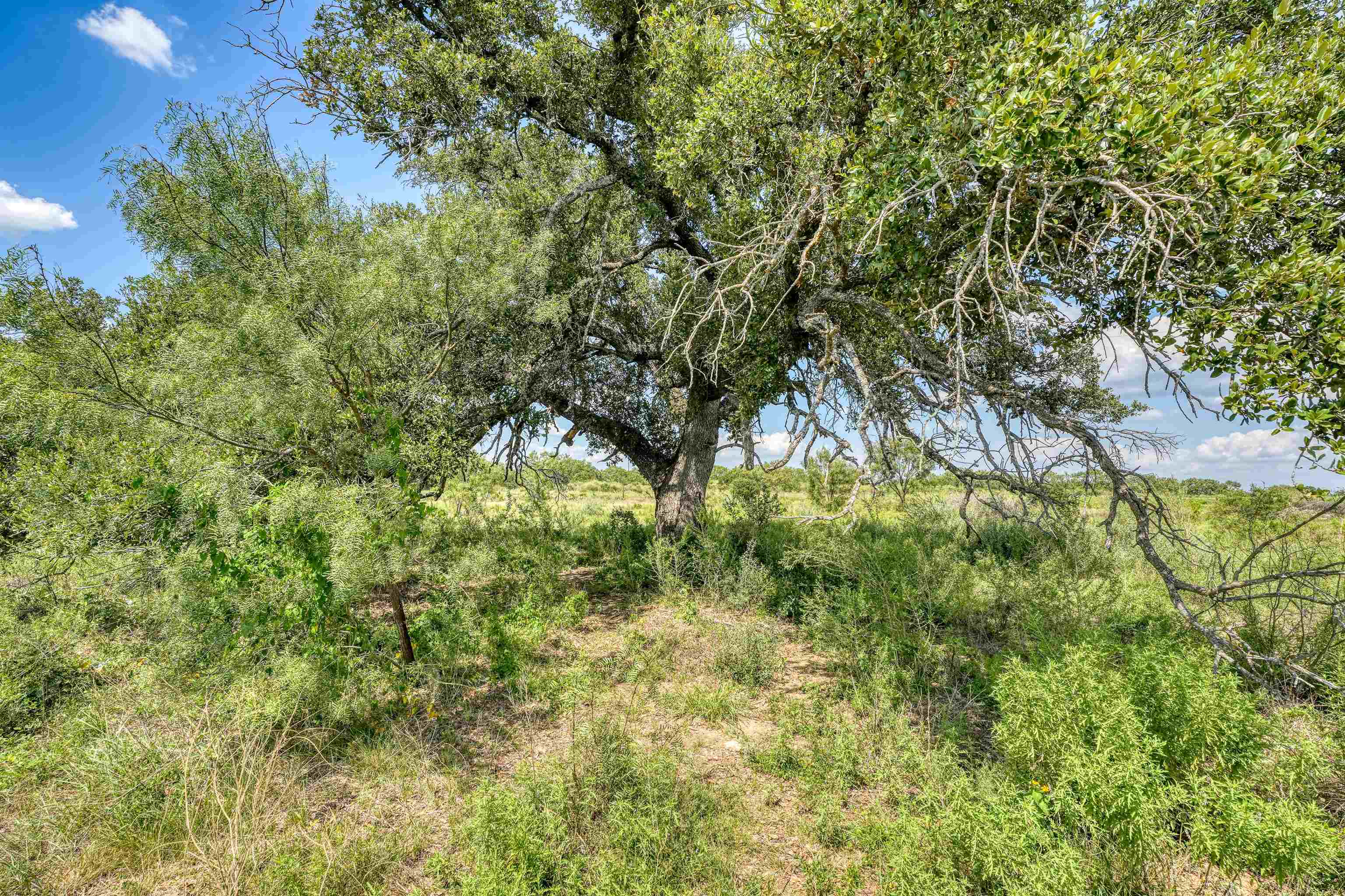 4900 W Highway 71