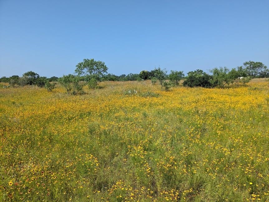 4900 W Highway 71