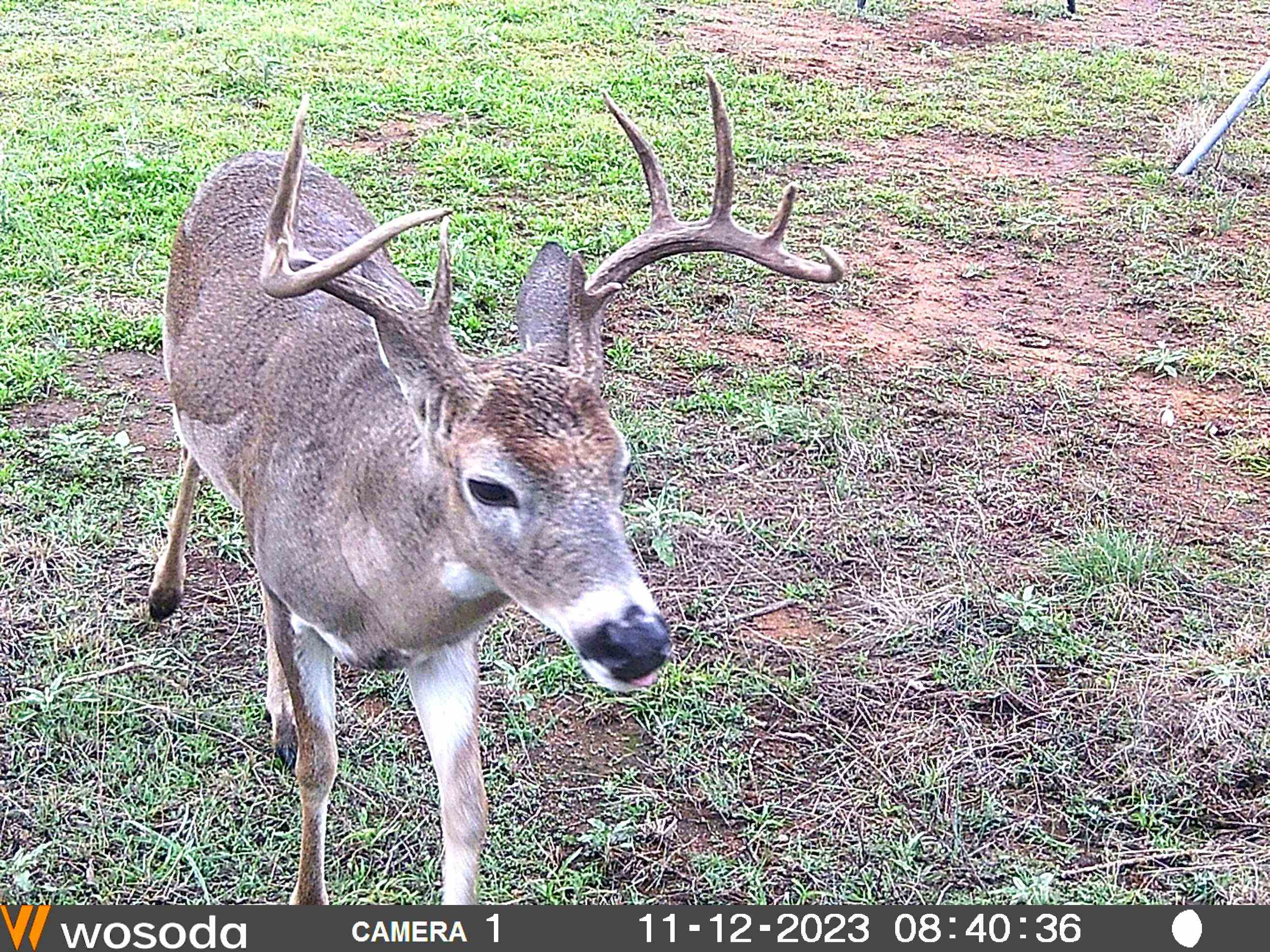 4900 W Highway 71