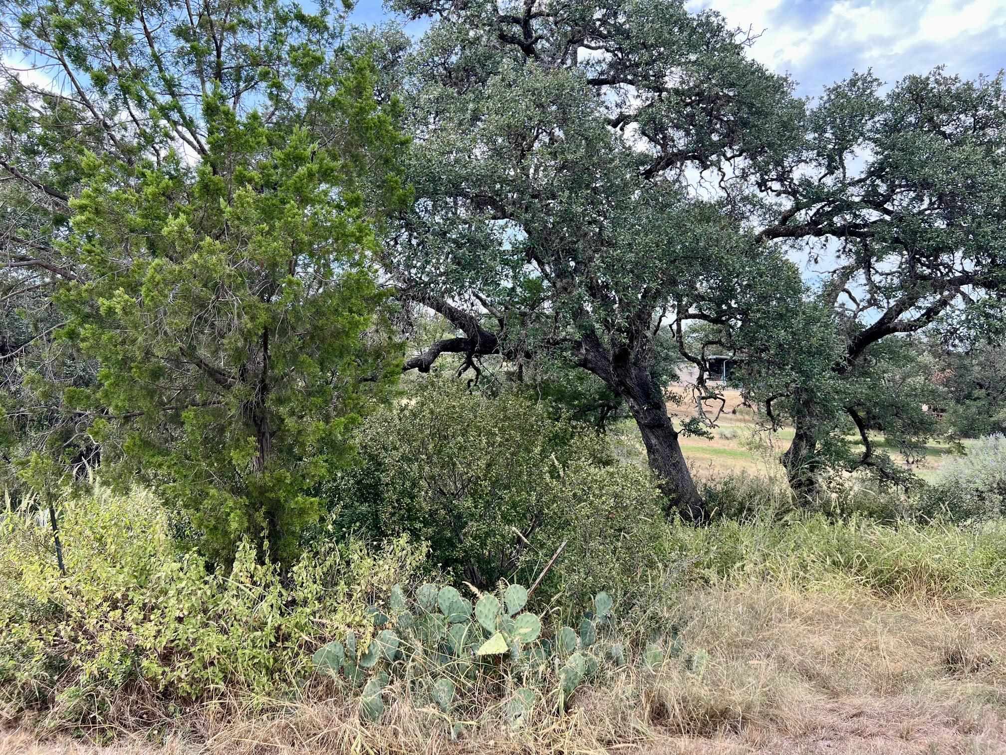 Lot 8A & 9 Contour Dr.