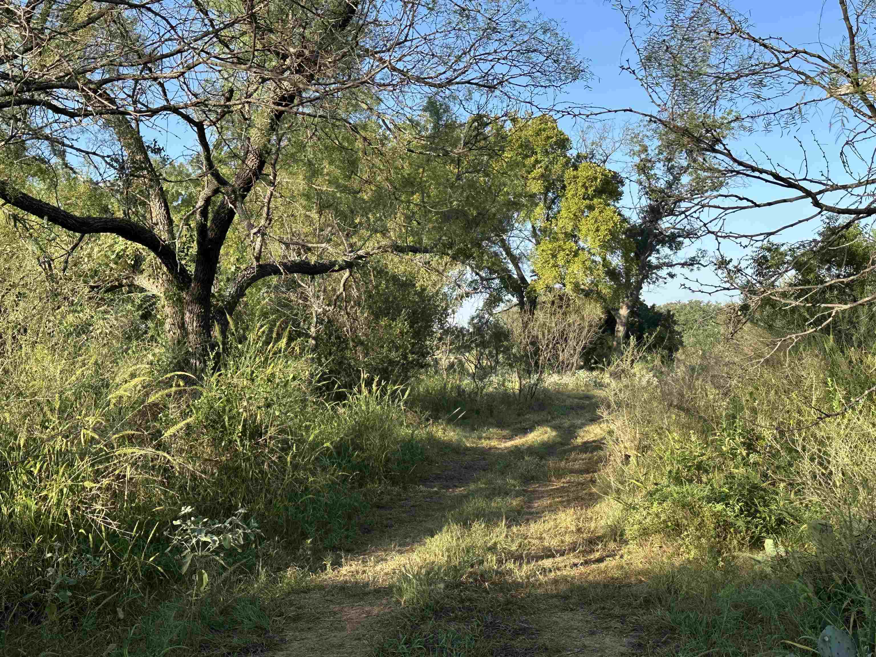 2976 Lower Willow Creek Road