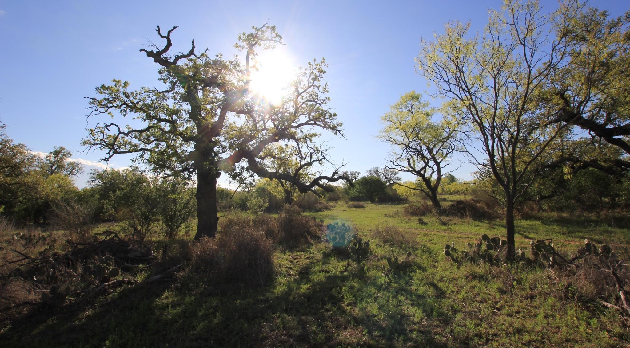 2976 Lower Willow Creek Road