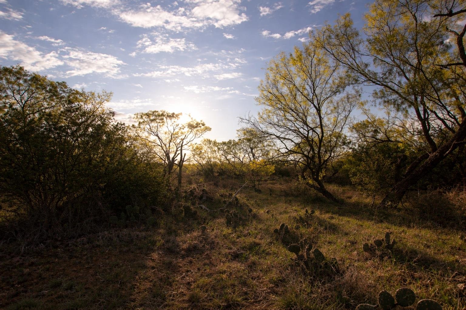 2976 Lower Willow Creek Road