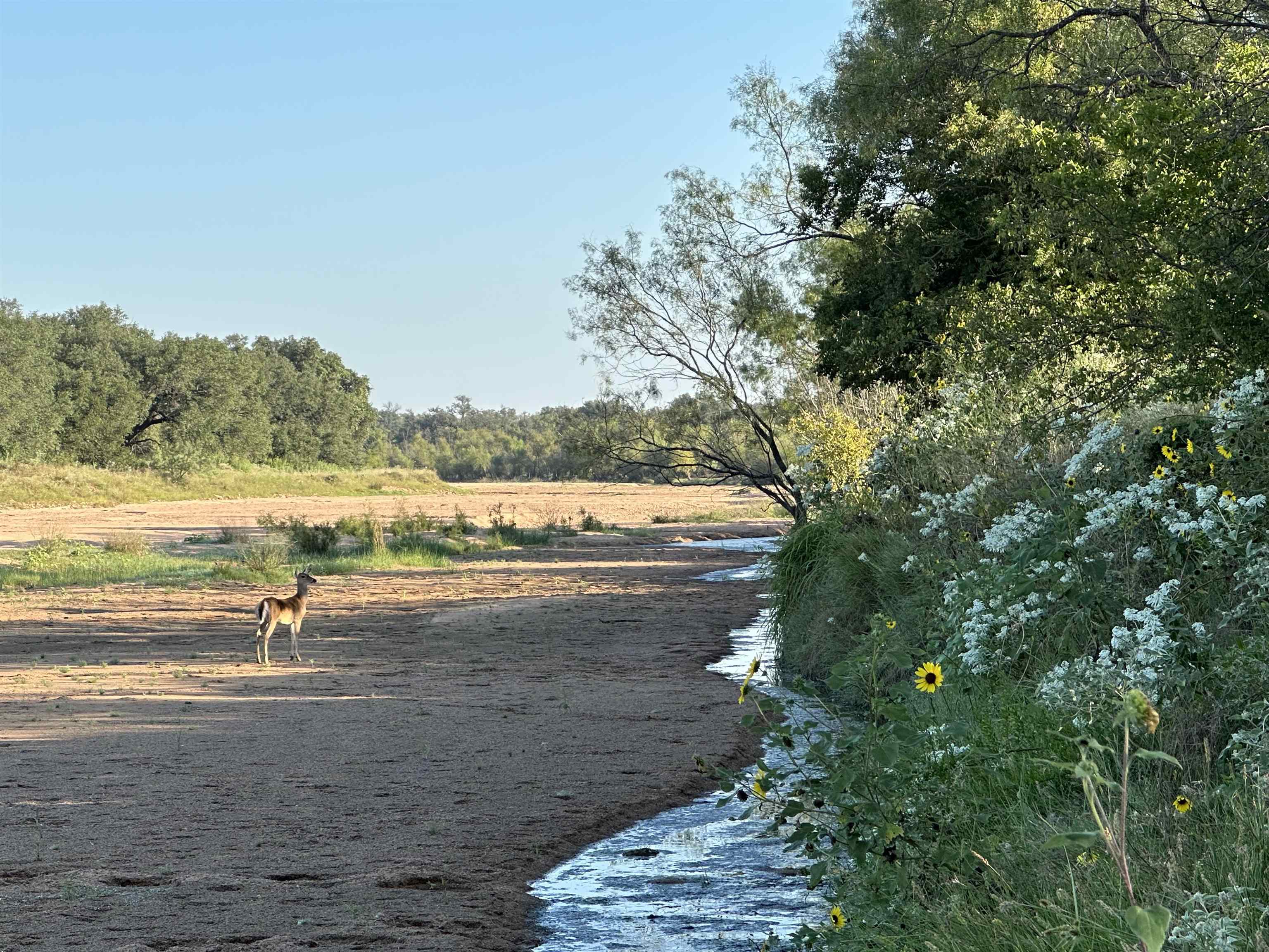 2976 Lower Willow Creek Road