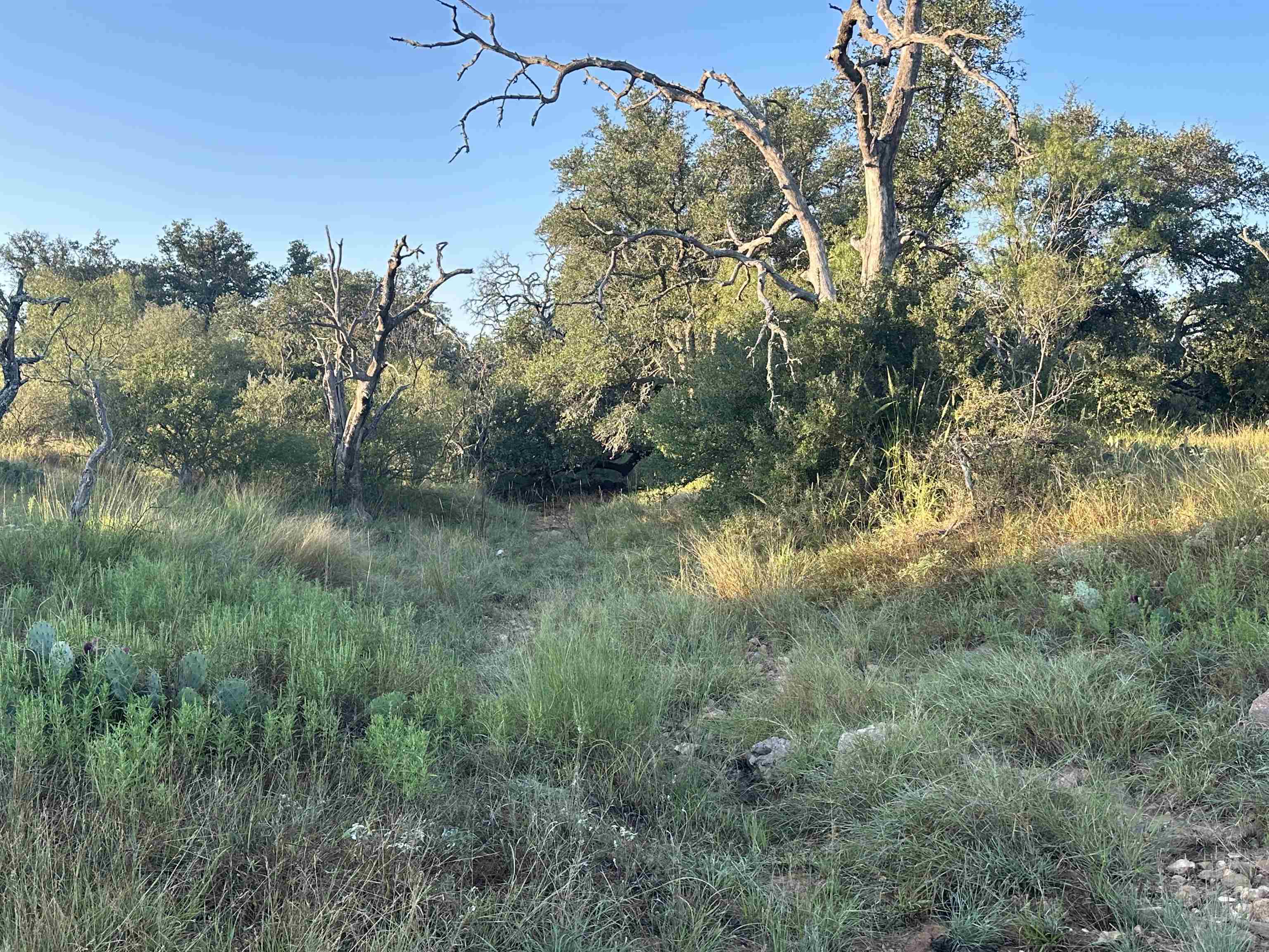 2976 Lower Willow Creek Road