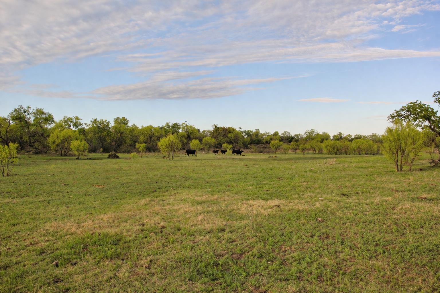 2976 Lower Willow Creek Road