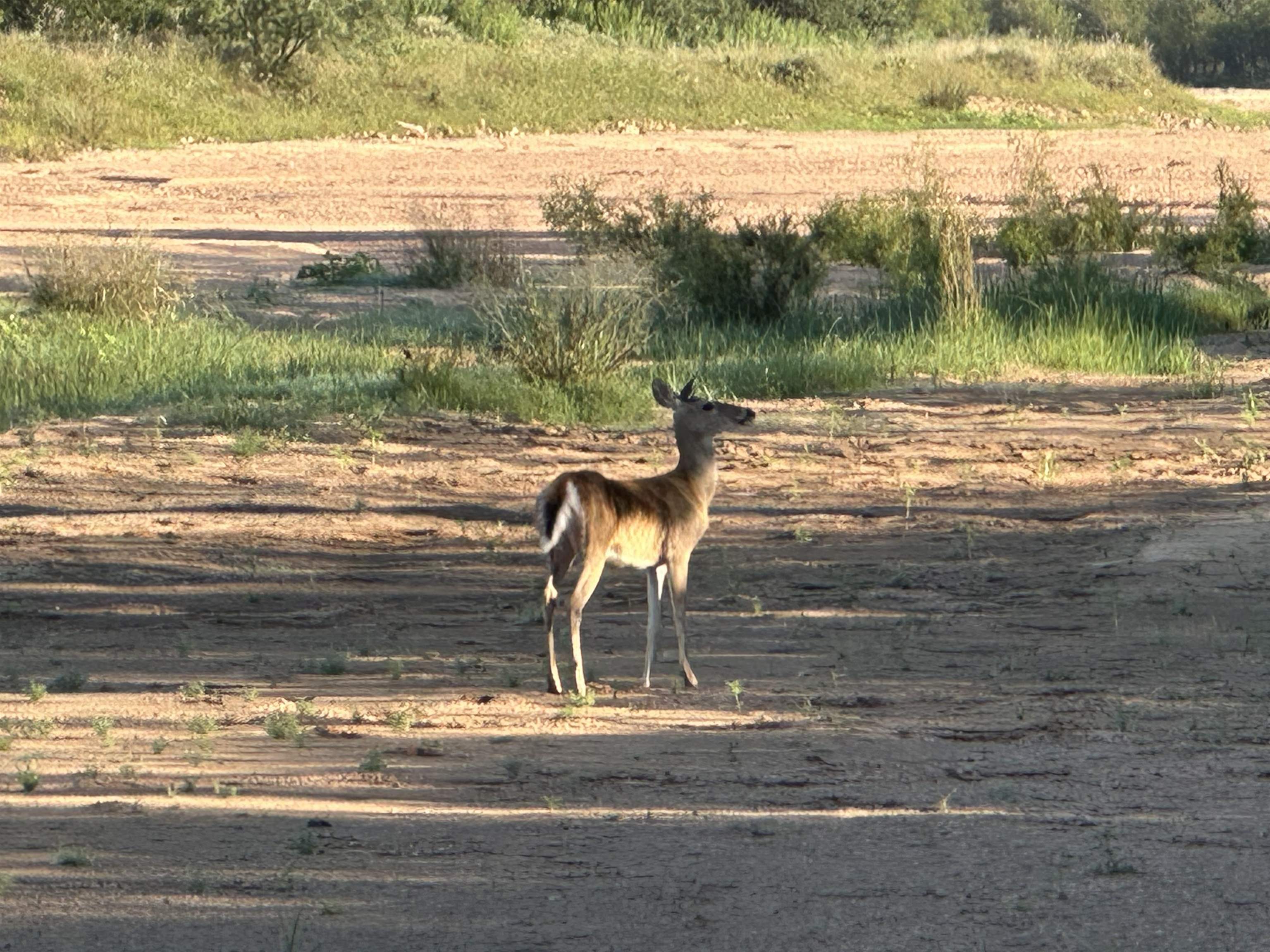 2976 Lower Willow Creek Road