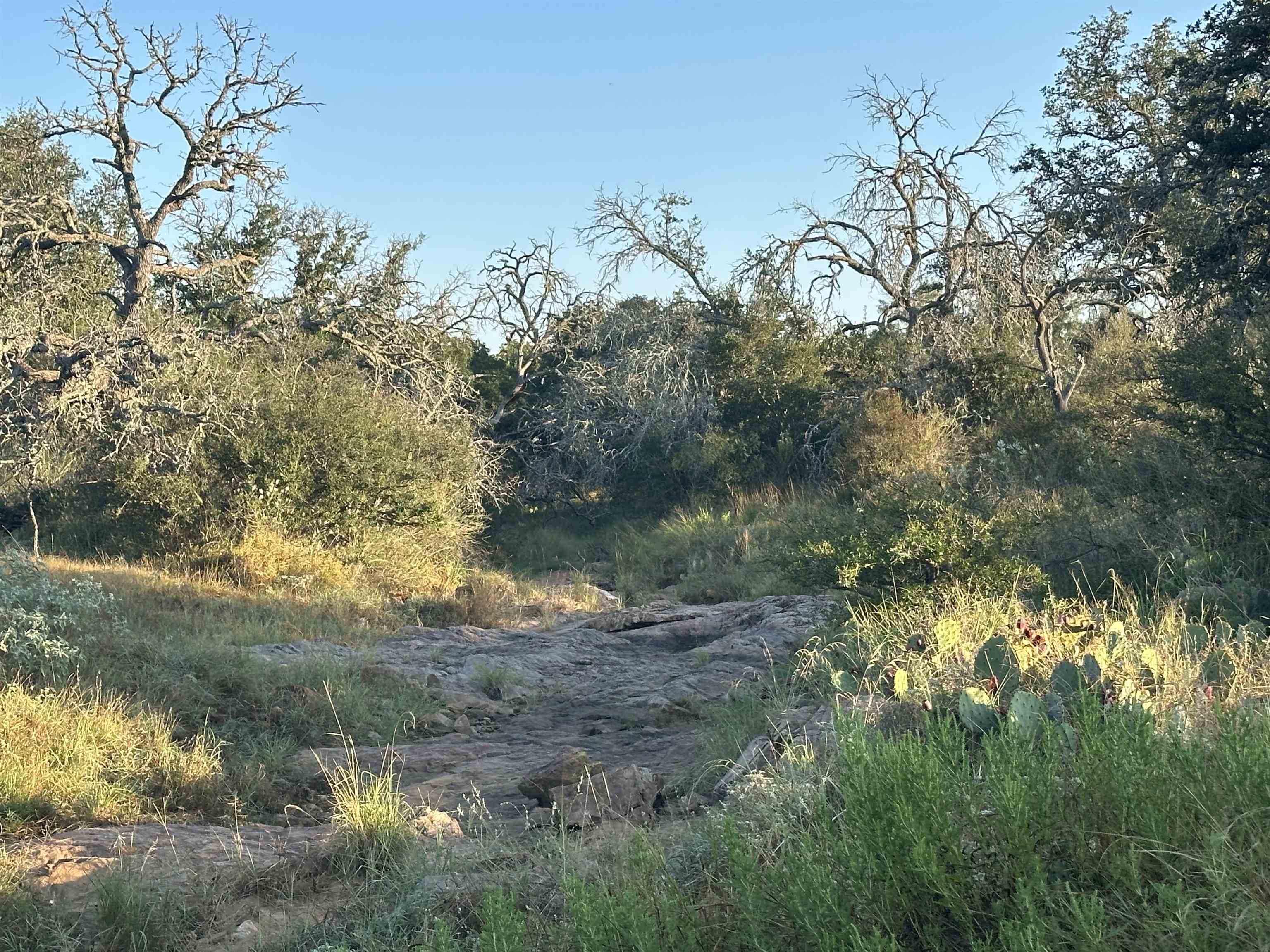 2976 Lower Willow Creek Road