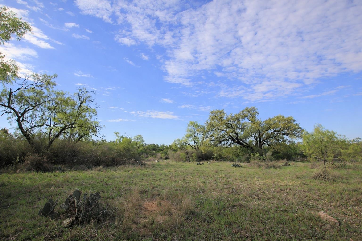 2976 Lower Willow Creek Road