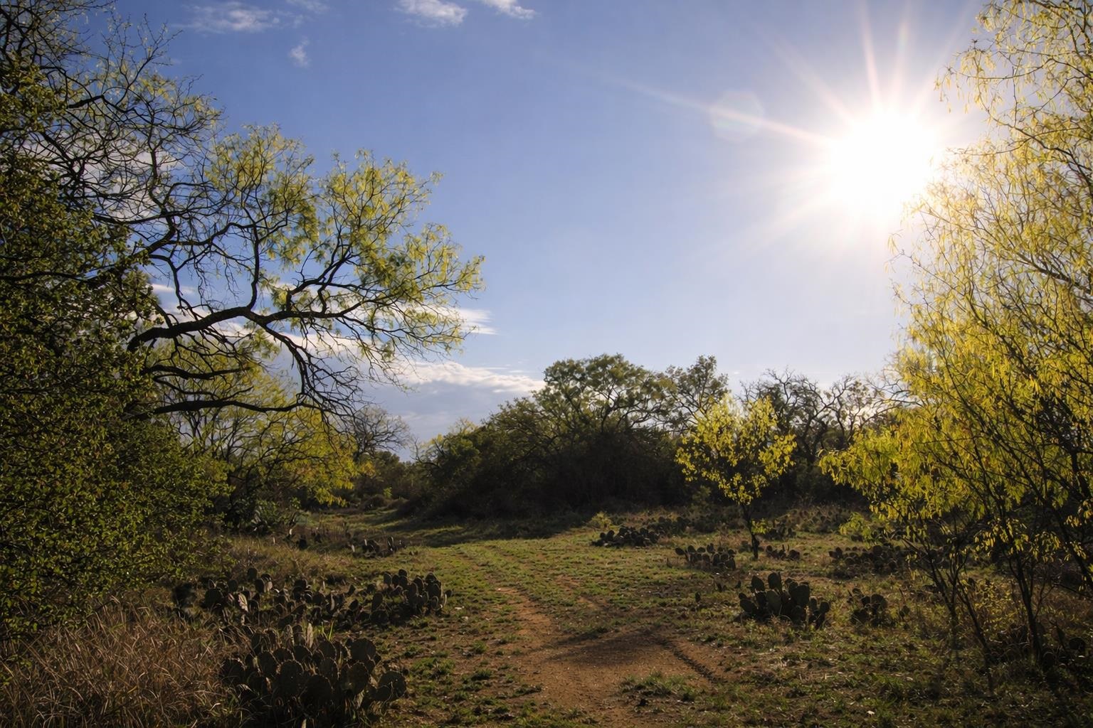 2976 Lower Willow Creek Road