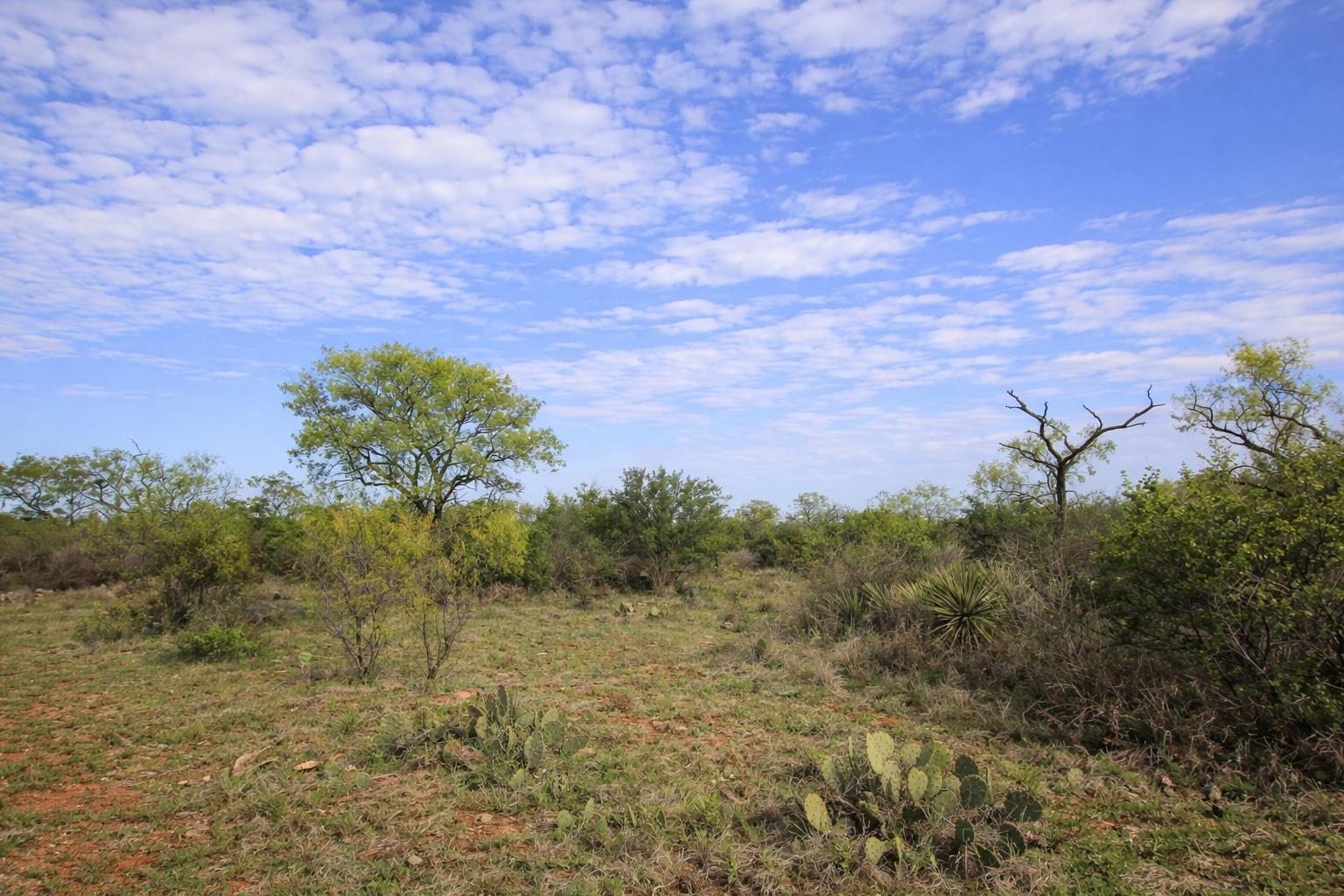 2976 Lower Willow Creek Road