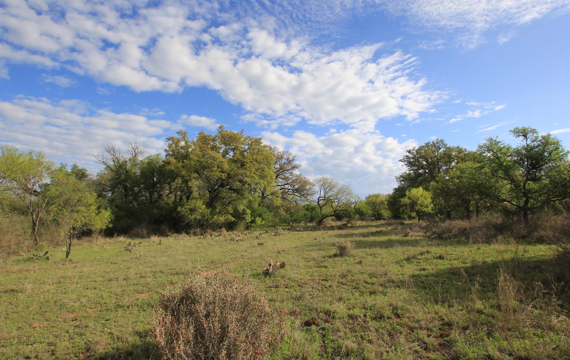 2976 Lower Willow Creek Road