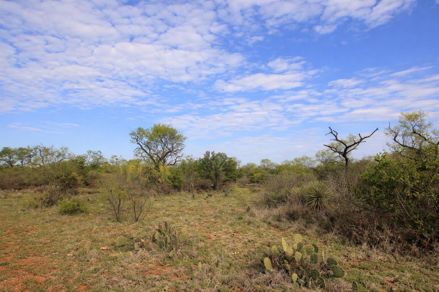 2976 Lower Willow Creek Road