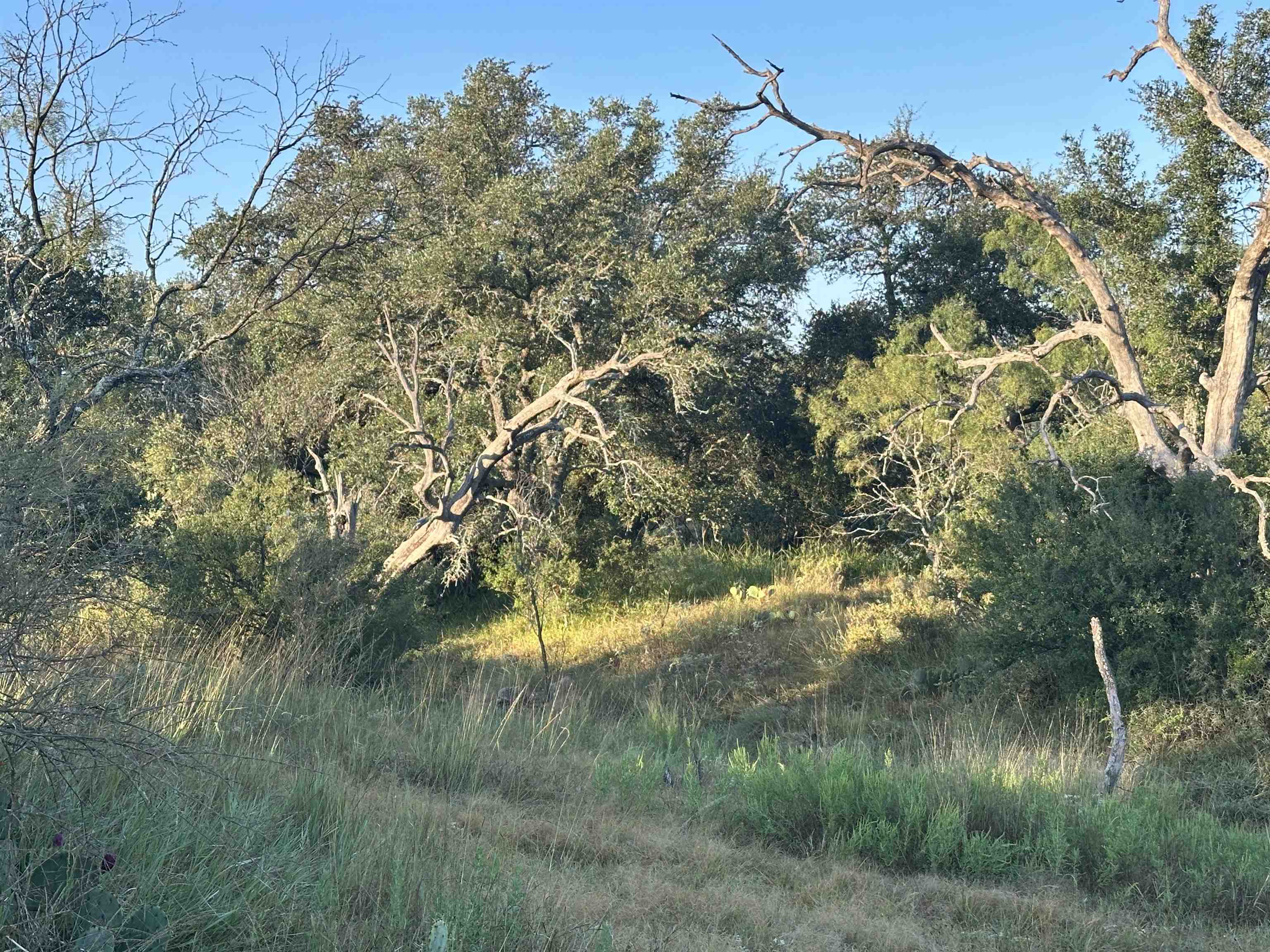 2976 Lower Willow Creek Road