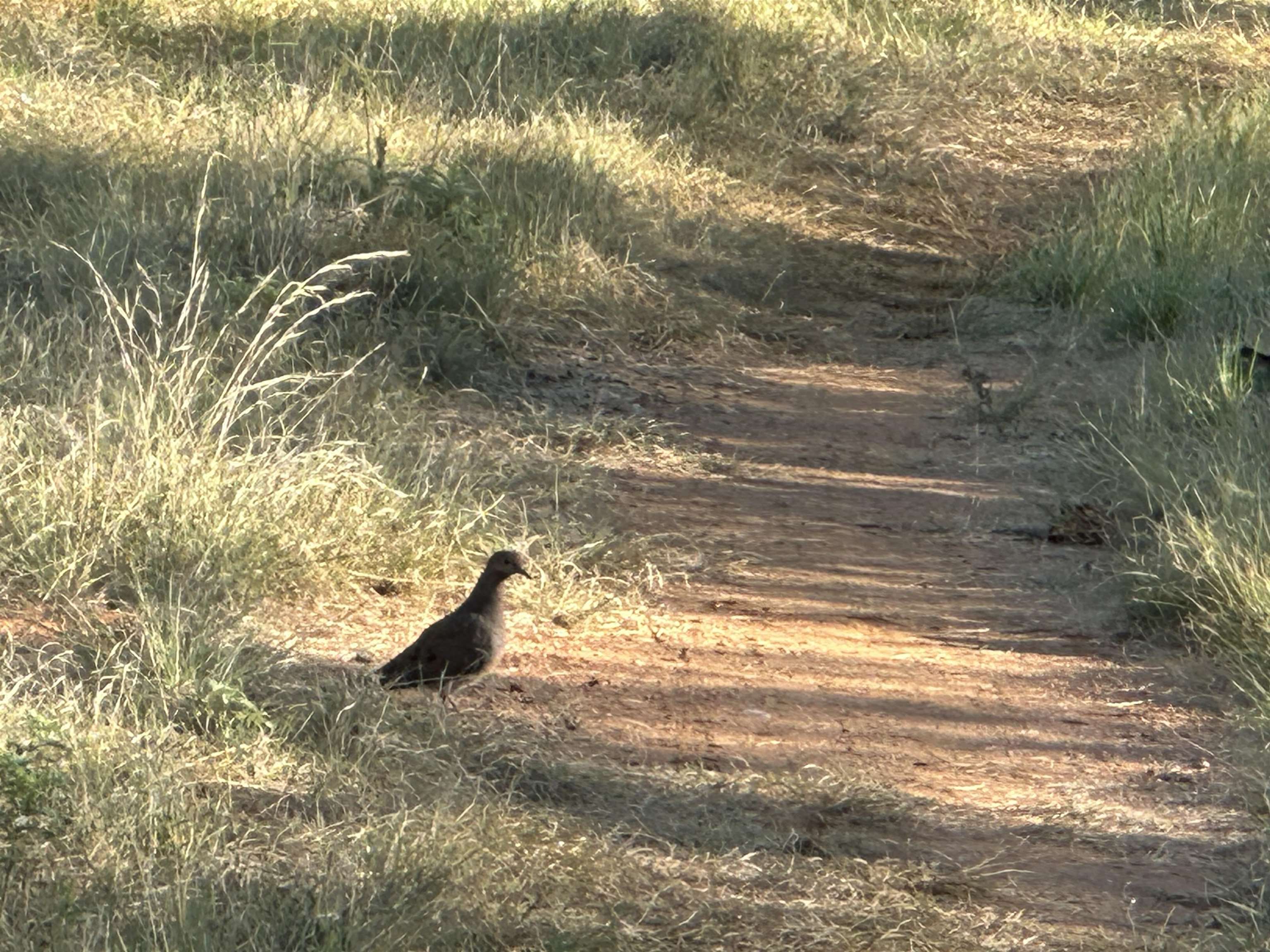 2976 Lower Willow Creek Road