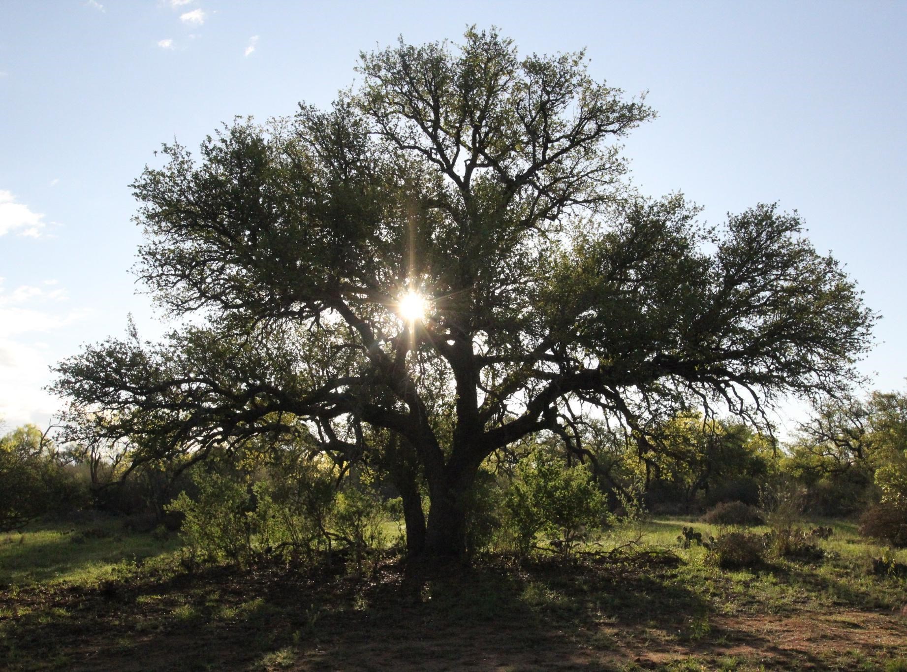 2976 Lower Willow Creek Road