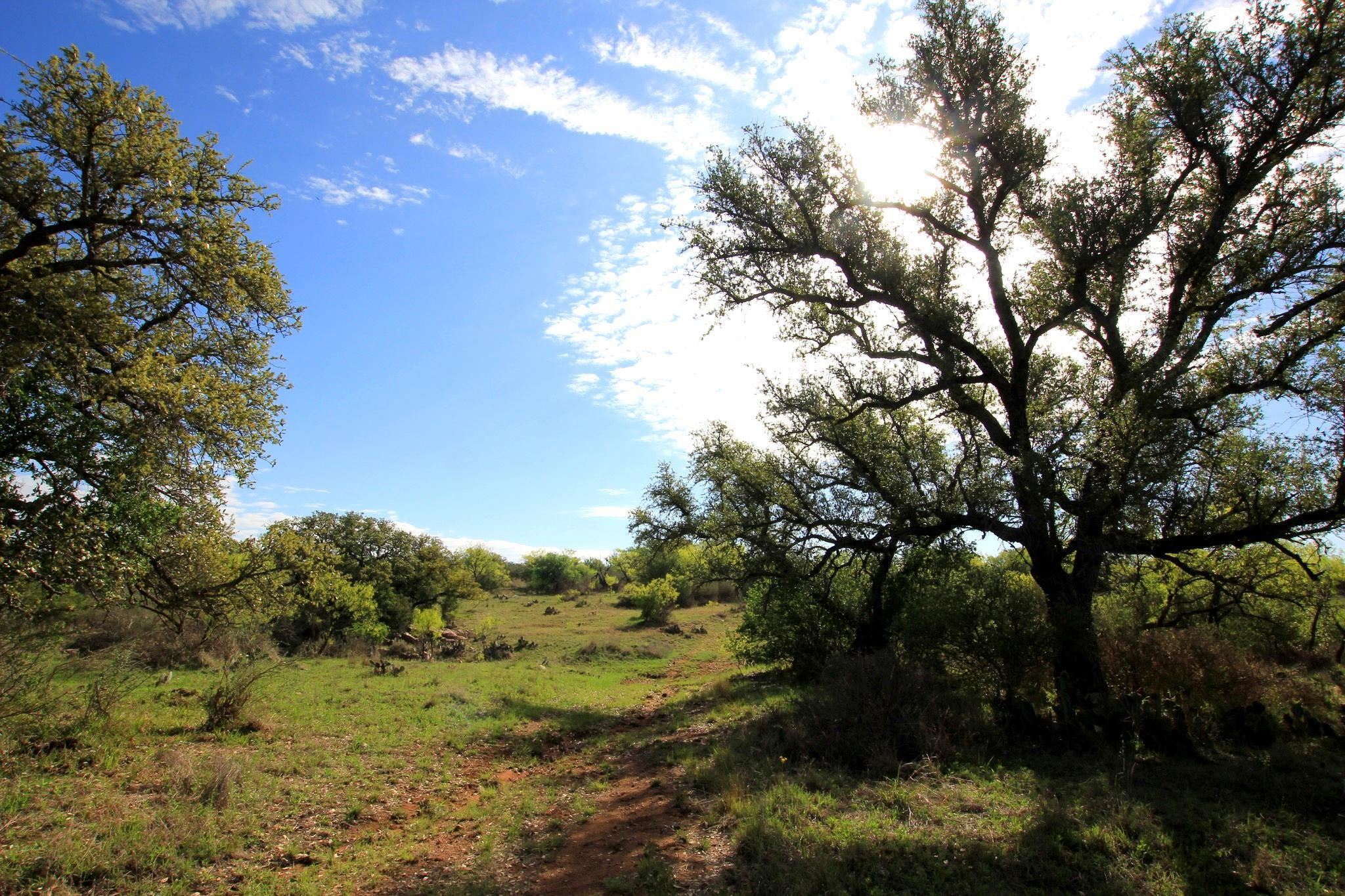 2976 Lower Willow Creek Road