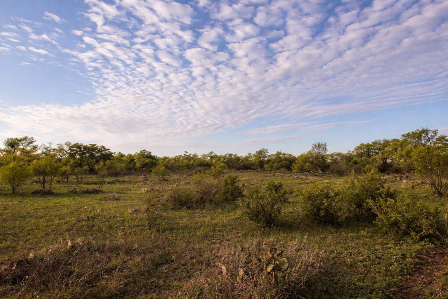 2976 Lower Willow Creek Road