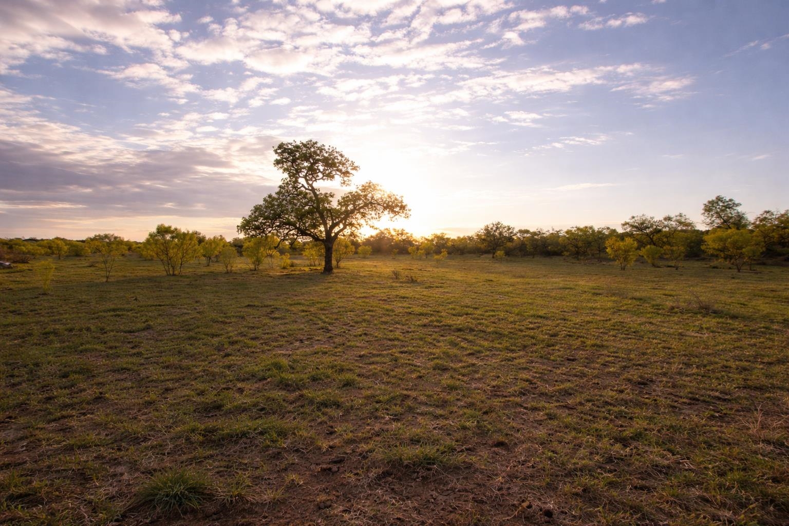 2976 Lower Willow Creek Road