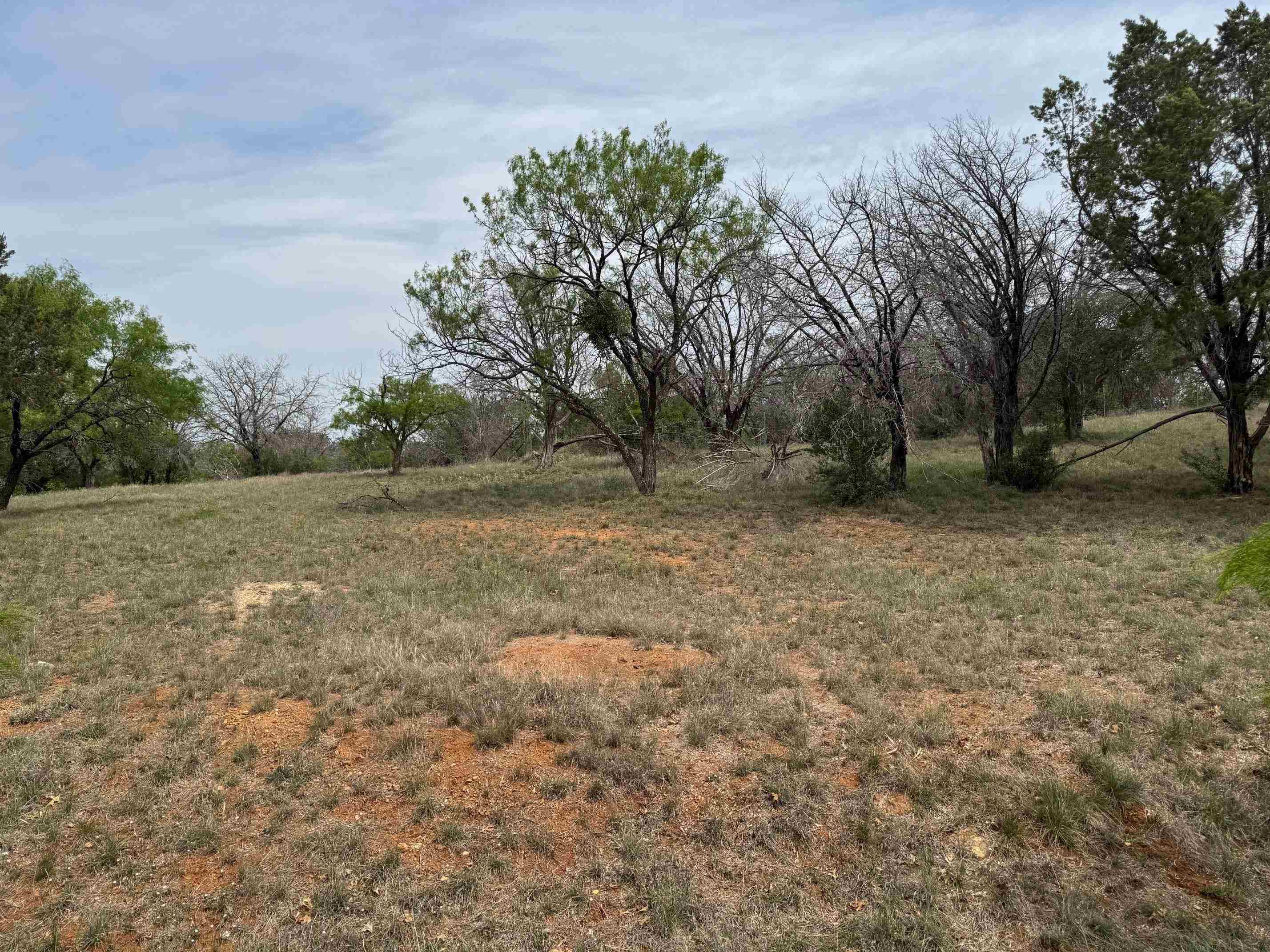 Lot W25002 Apache Tears