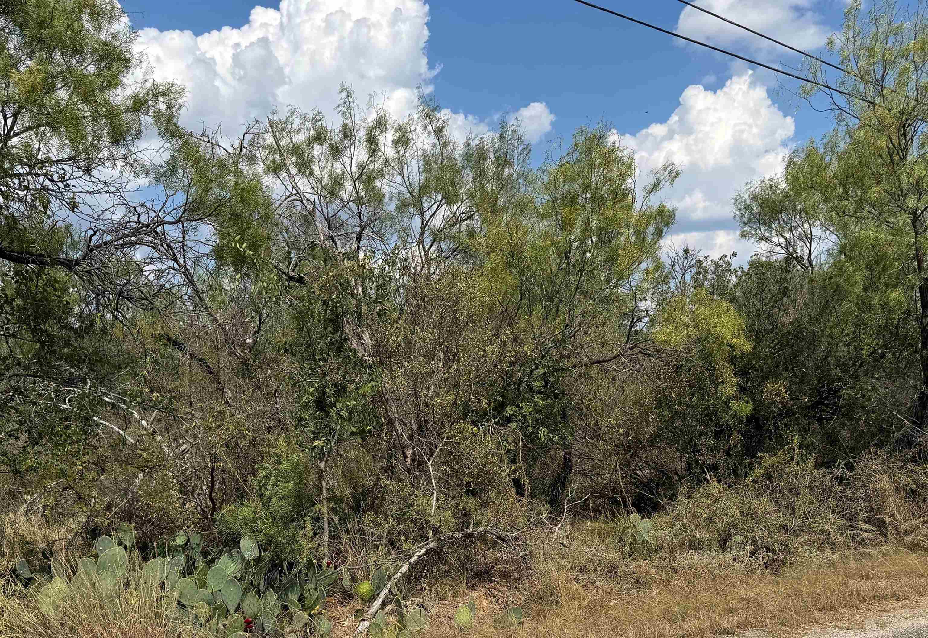 Lots 453 & 454 Hill Drive