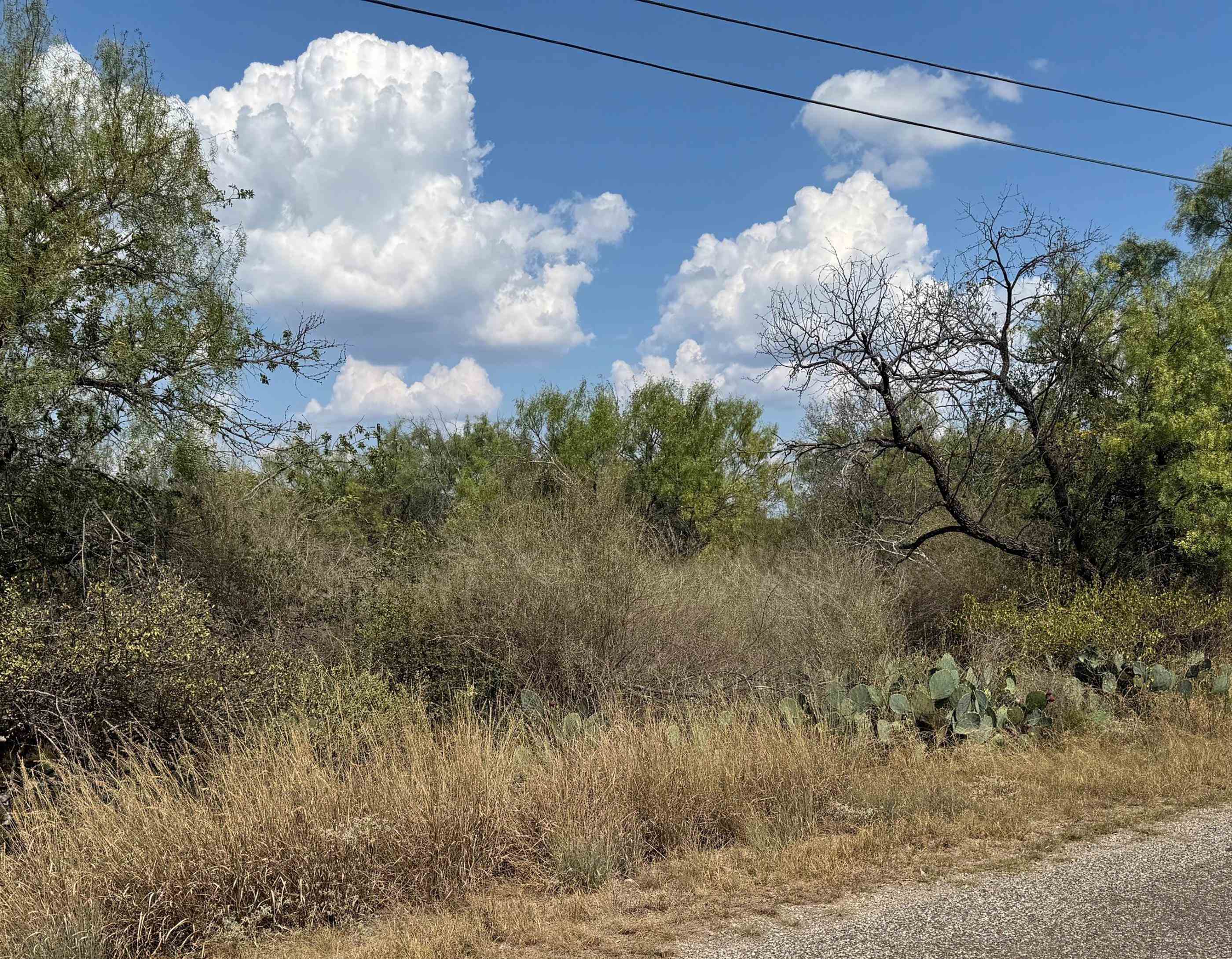 Lots 453 & 454 Hill Drive