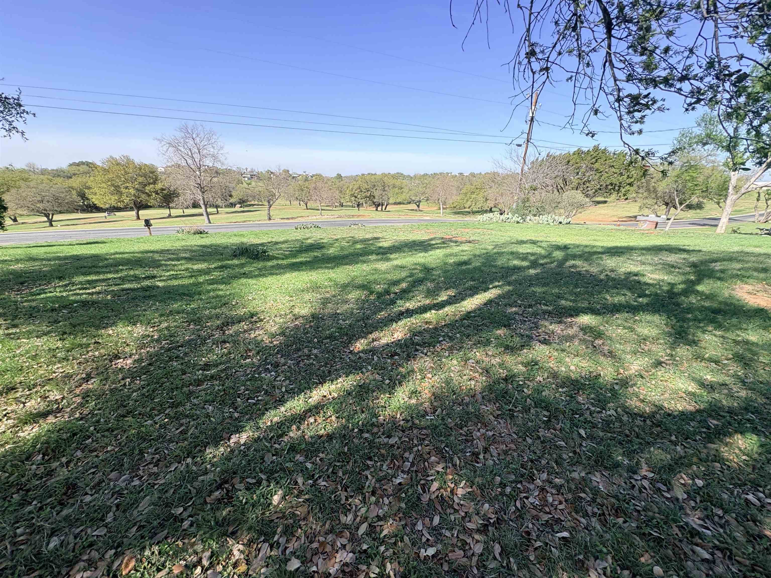 113 W Bluebonnet Road