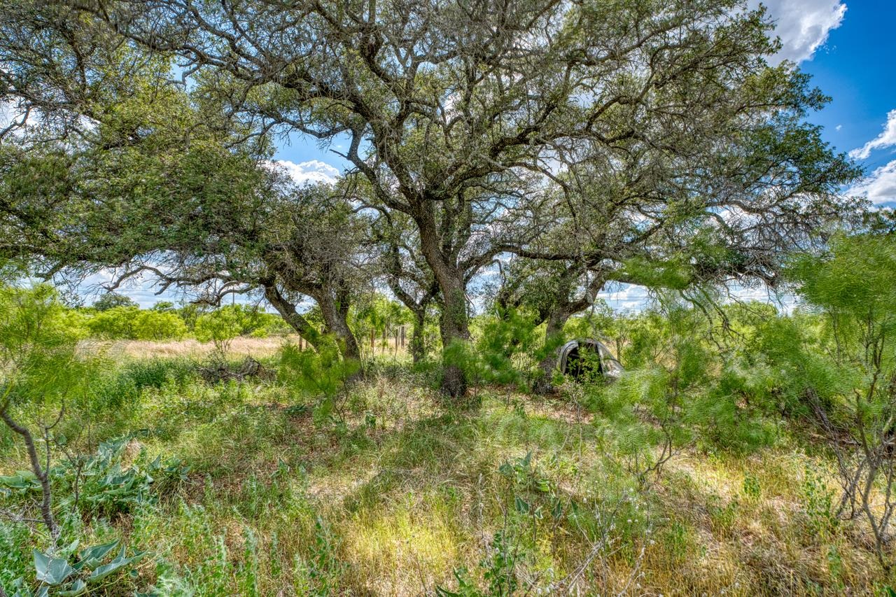 33.9 Acres W Ranch Road 152