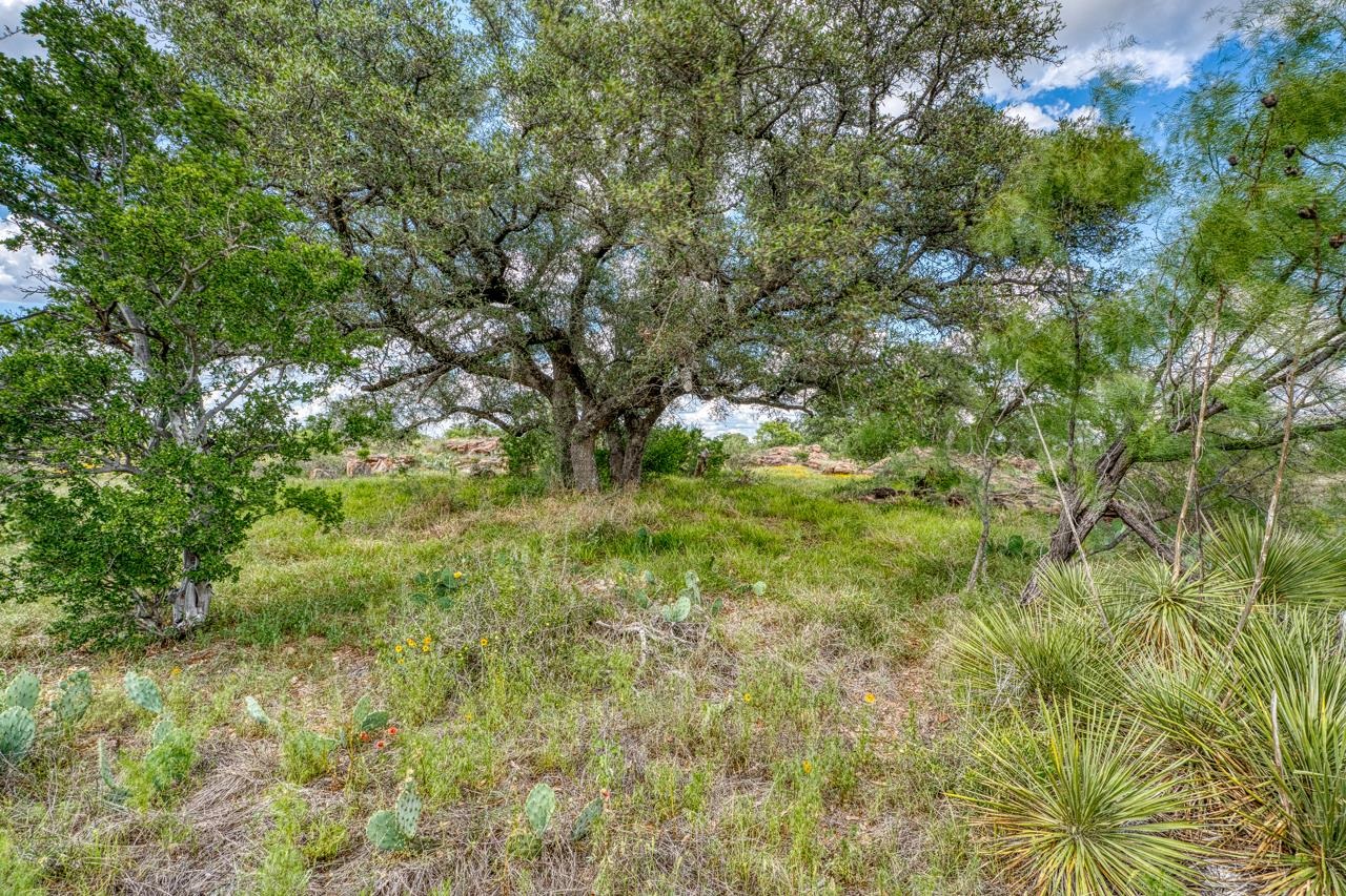 33.9 Acres W Ranch Road 152