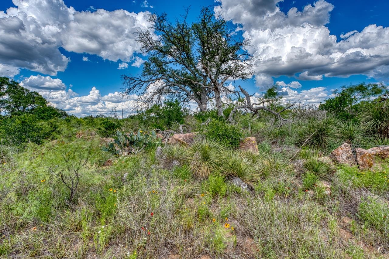 33.9 Acres W Ranch Road 152