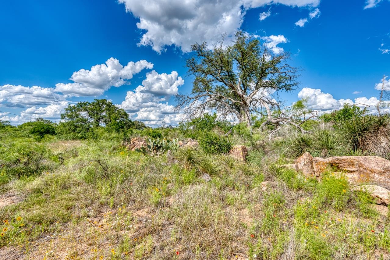 33.9 Acres W Ranch Road 152