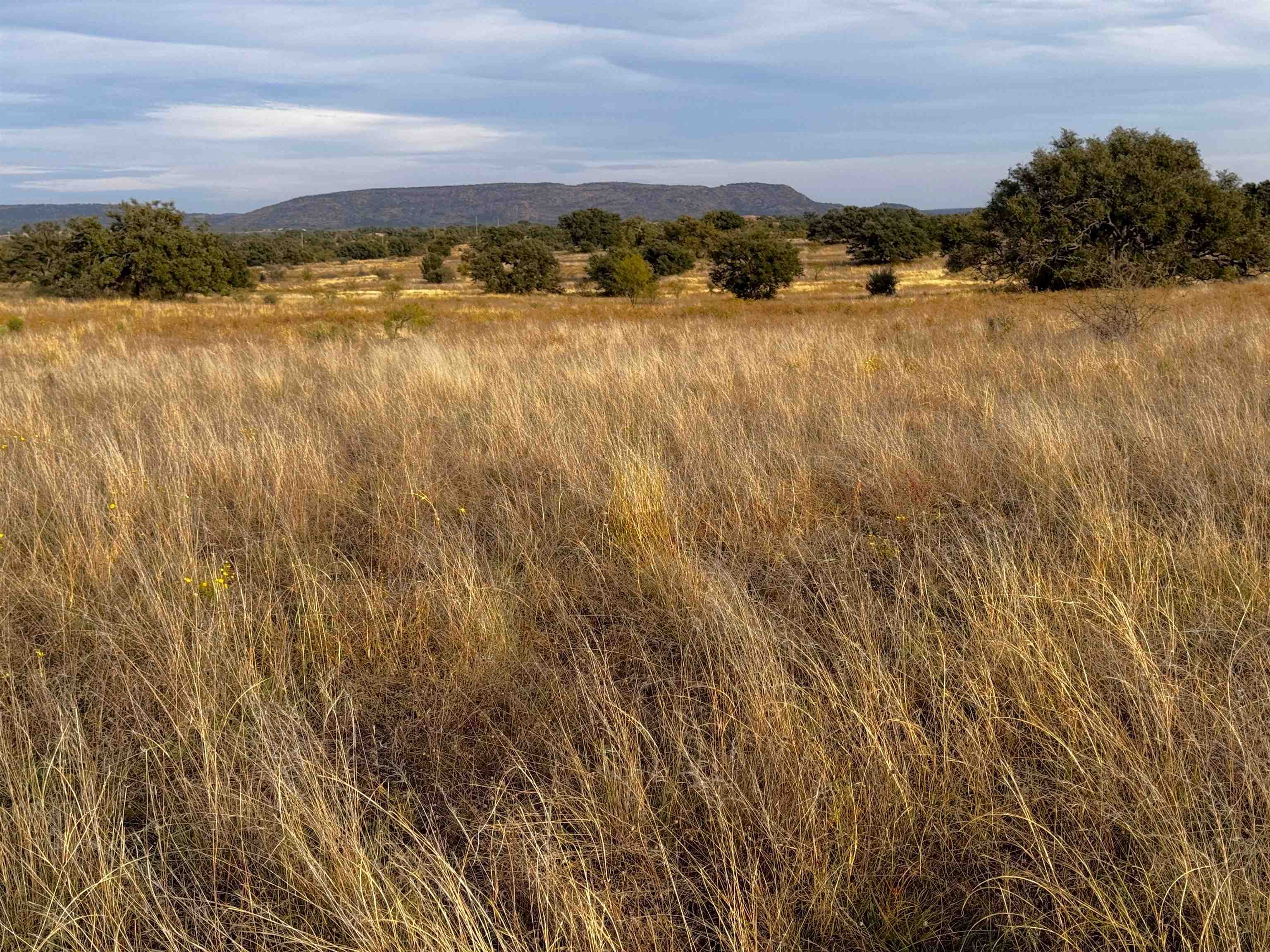 0 Hickory Grove Road